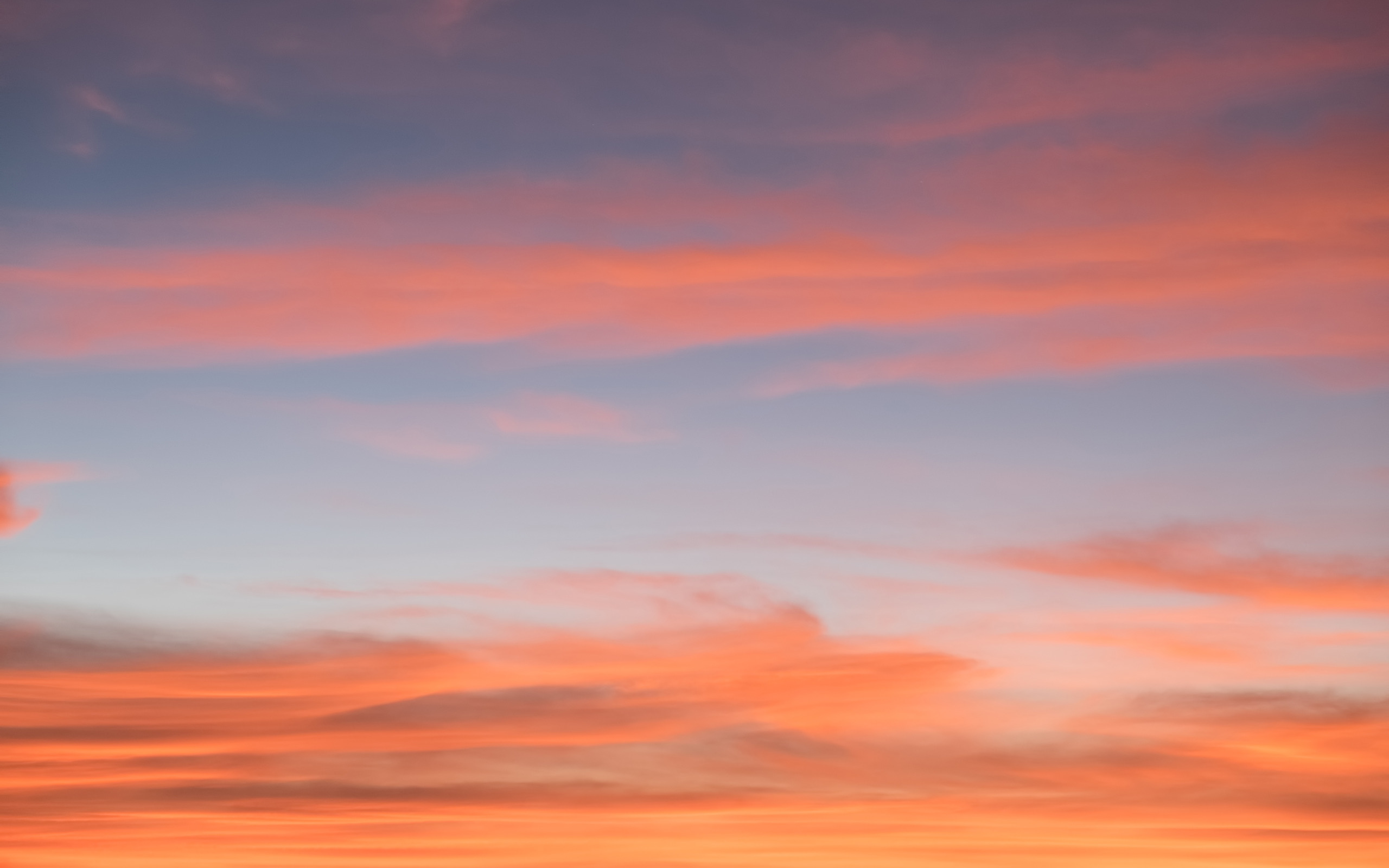 Скачать обои небо, облака, закат, фон, розовый, colorful, sky, sunset,  раздел пейзажи в разрешении 2560x1600