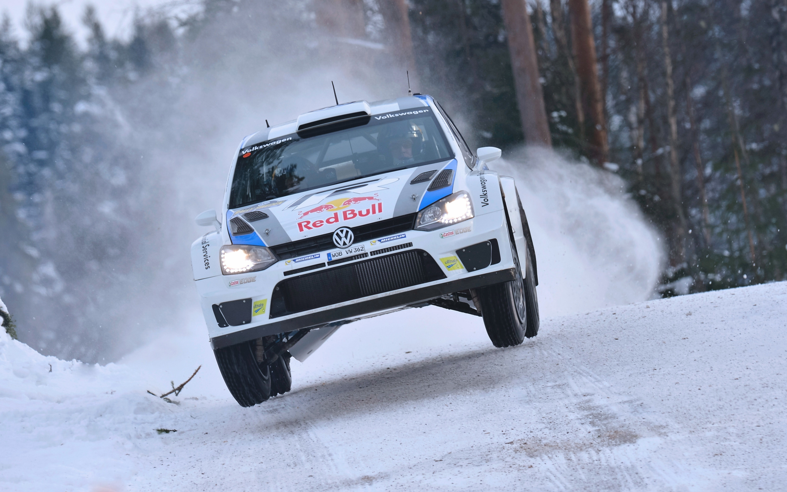 WRC r15 Winter