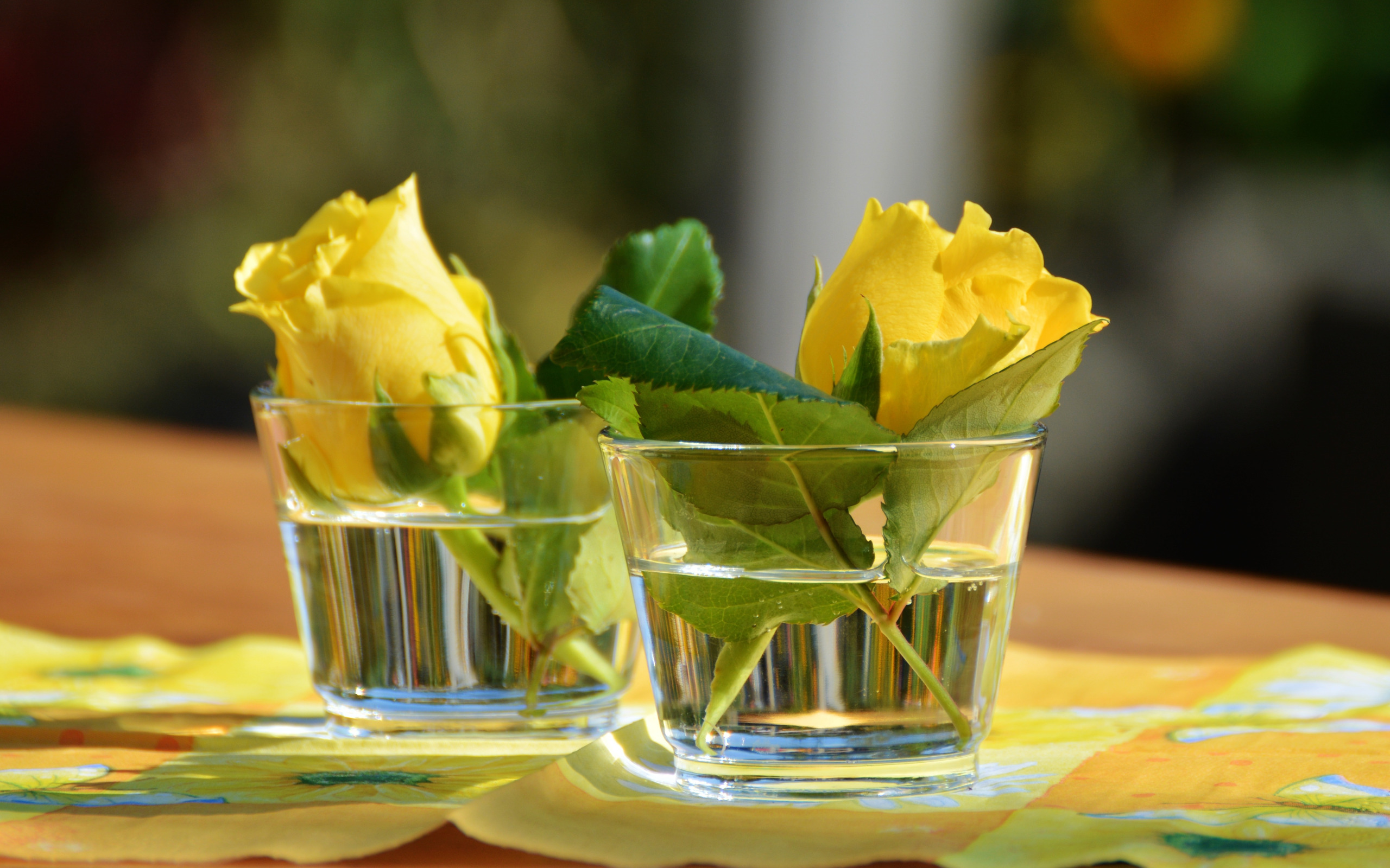 Вода стакан салфетка. Цветы в бокале. Цветы в стакане. Красивые цветы в бокале.