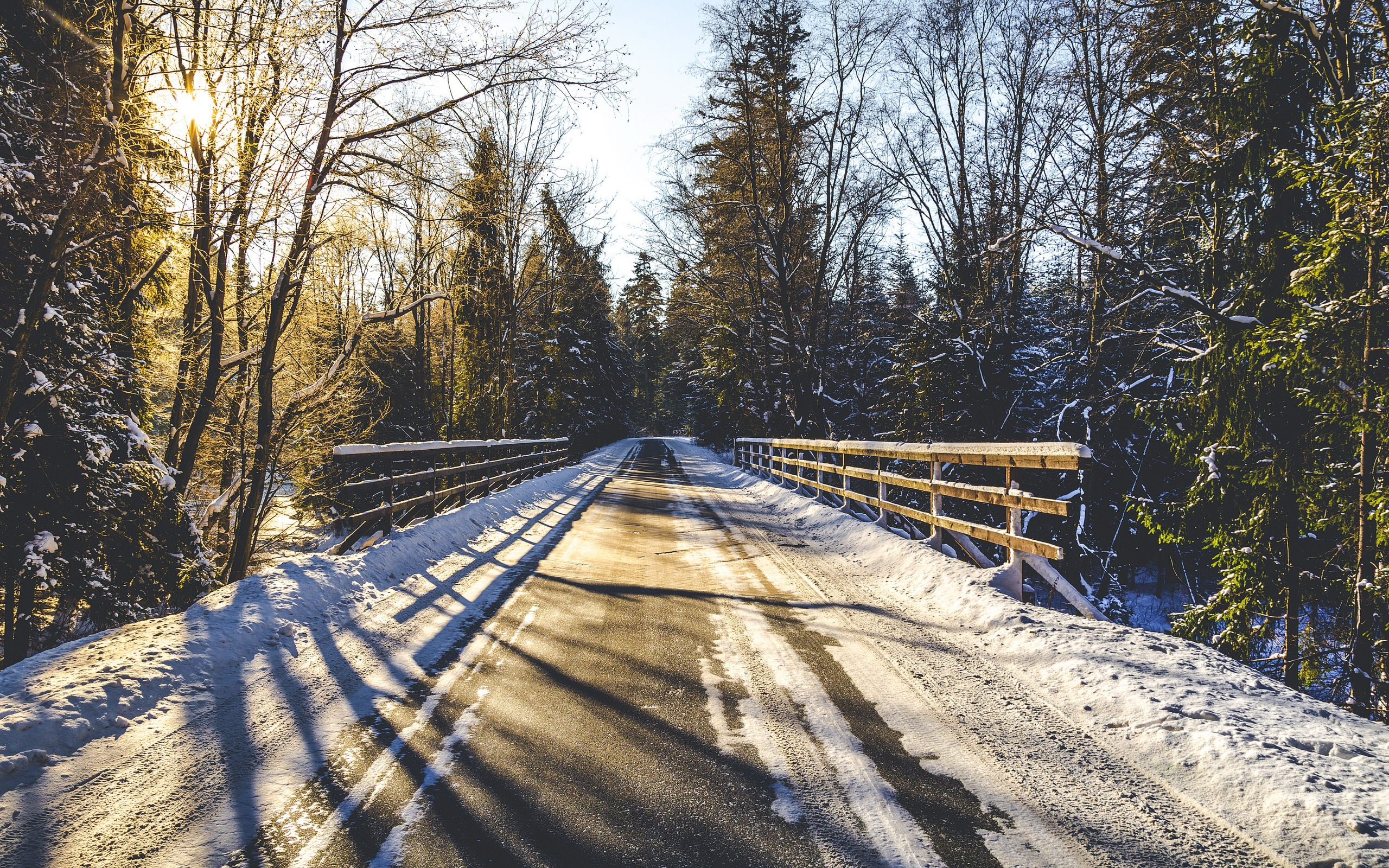 Зимняя дорога песни. Зимняя дорога в лесу. Заснеженная дорога в лесу. Зима дорога лес. Мост в зимнем лесу.