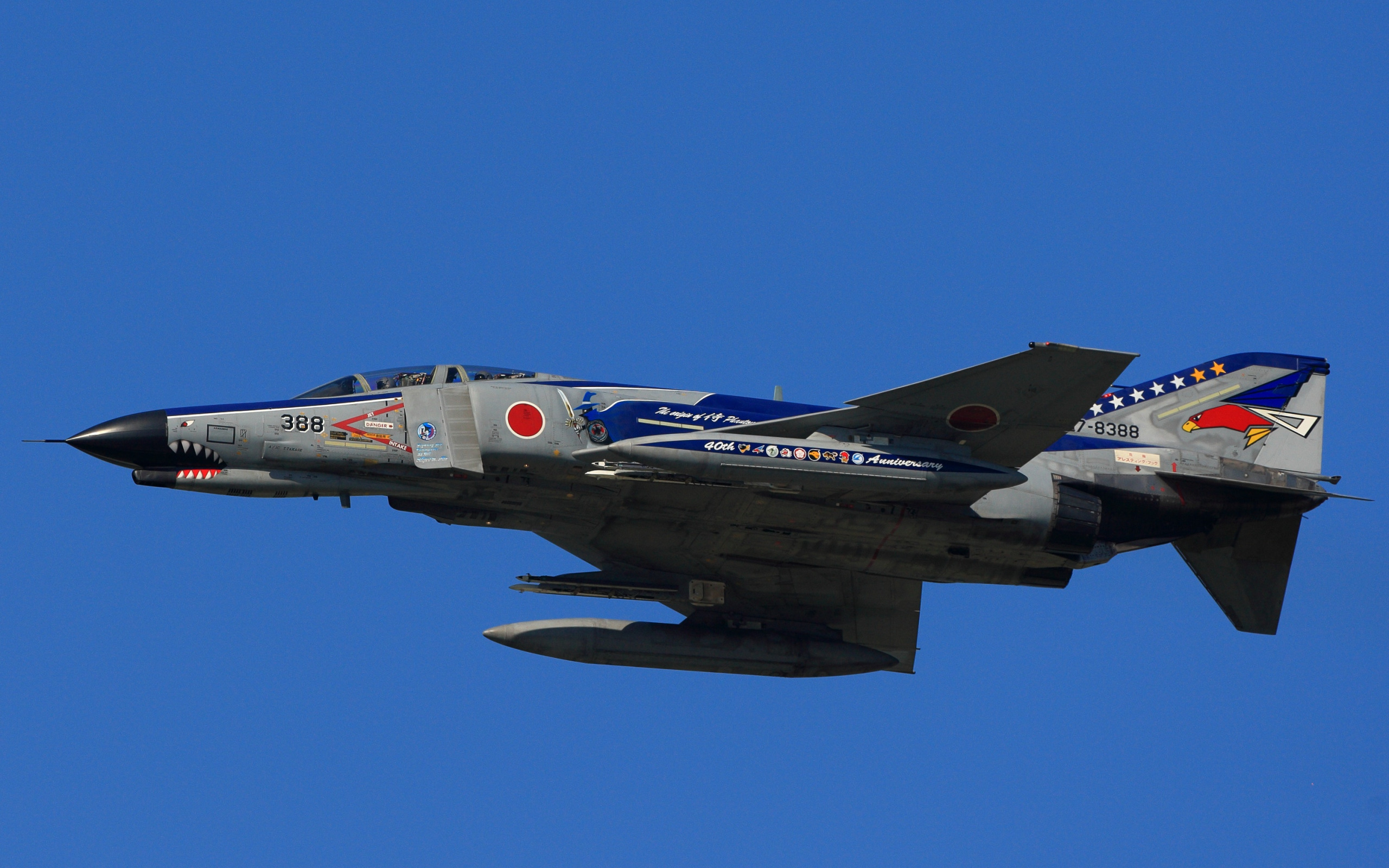 Japan fighter. F-4ej Kai Phantom II. Японский f-4 Phantom. MCDONNELL Douglas f-4 Phantom II. Mitsubishi f 15.