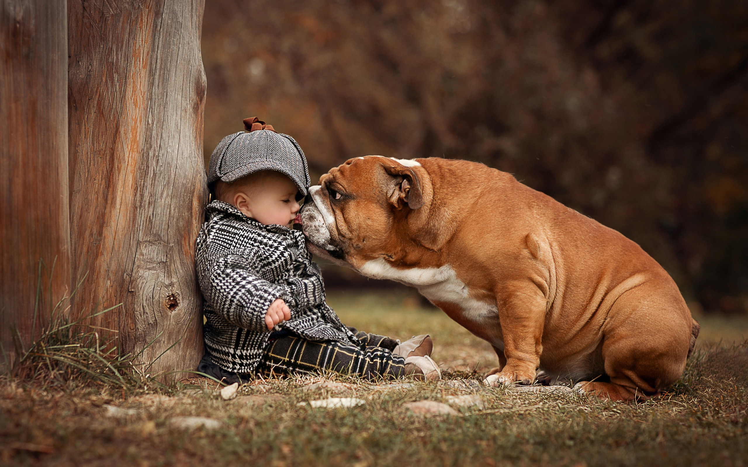 Фото собак мальчиков. Маленькие дети и животные. Забавные дети и животные. Трогательные животные. Дени собака.