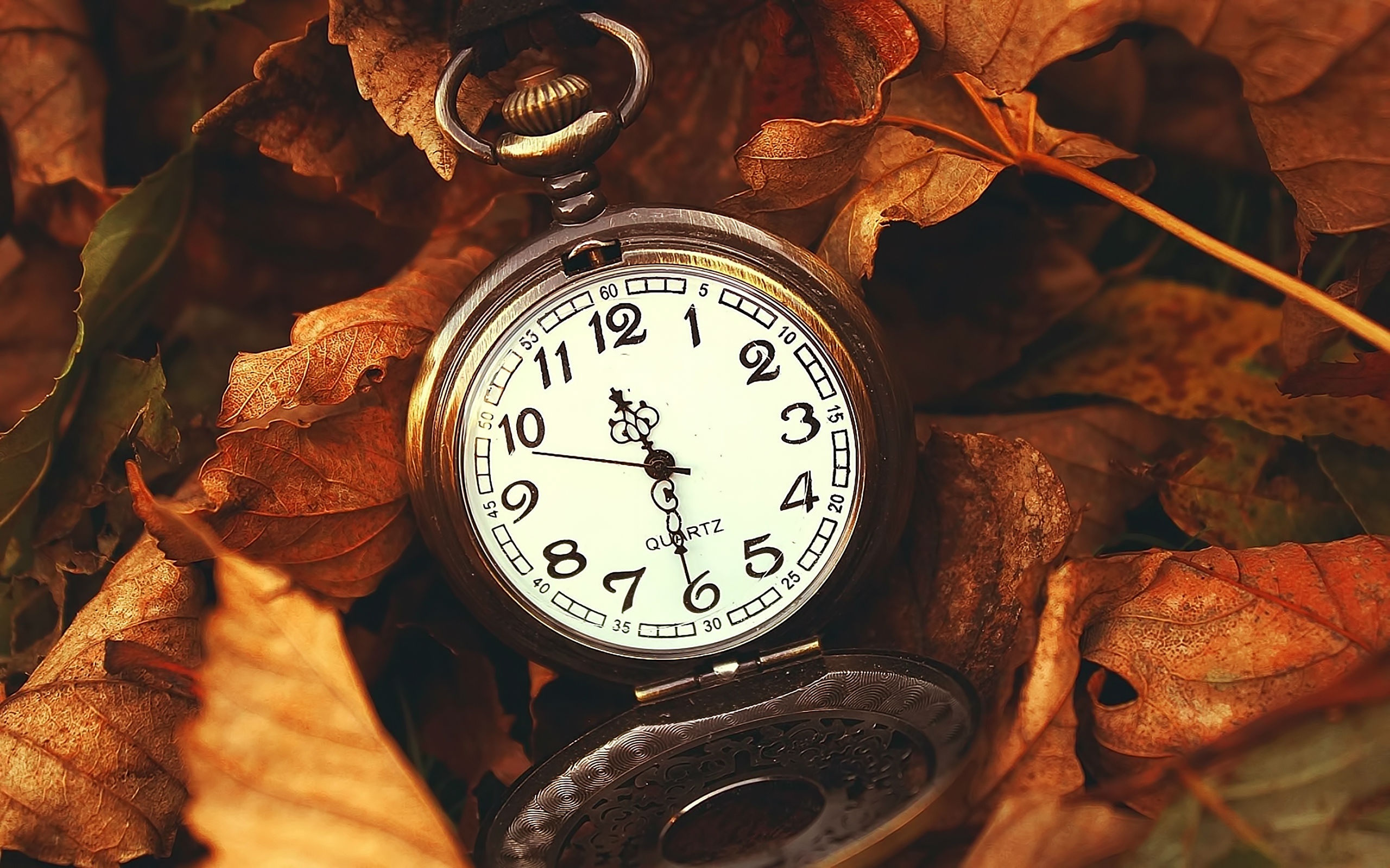 Время 25 апреля. Старинные часы. Осенние часы. Часы в листве.
