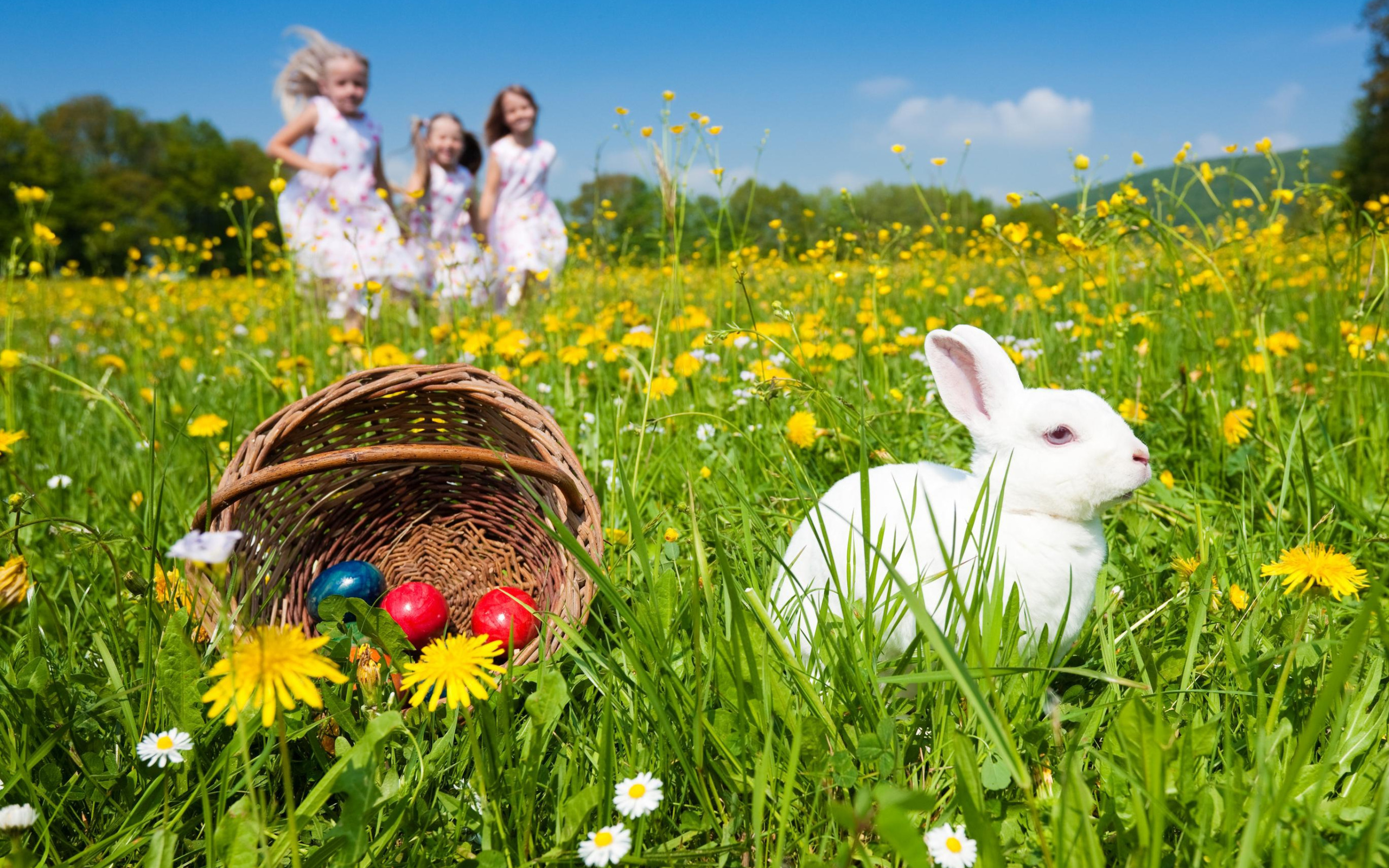 Ostern in deutschland 2024. Пасхальный зайчик. Пасхальная фотосессия для детей. Пасхальная корзинка с зайцами.