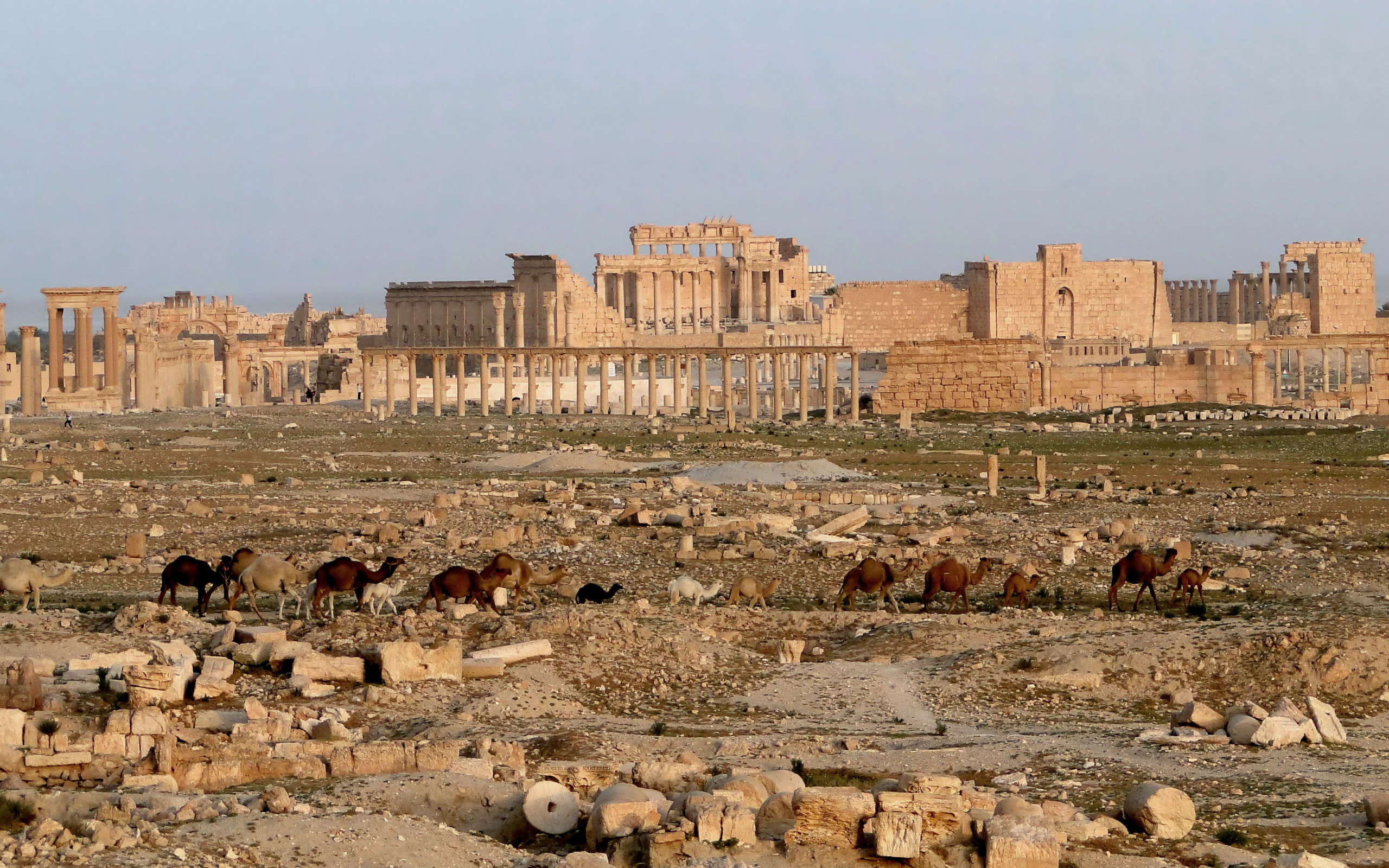 Пальмира древний город в Сирии. Сирия древние развалины Пальмира. Пальмира город в Сирии до войны. Сирия руины Пальмиры. Разрушили древний город