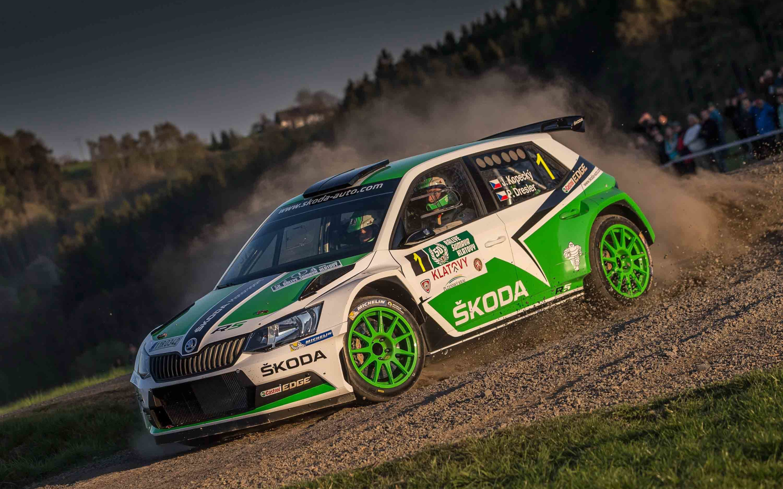 Зима Skoda Fabia ралли