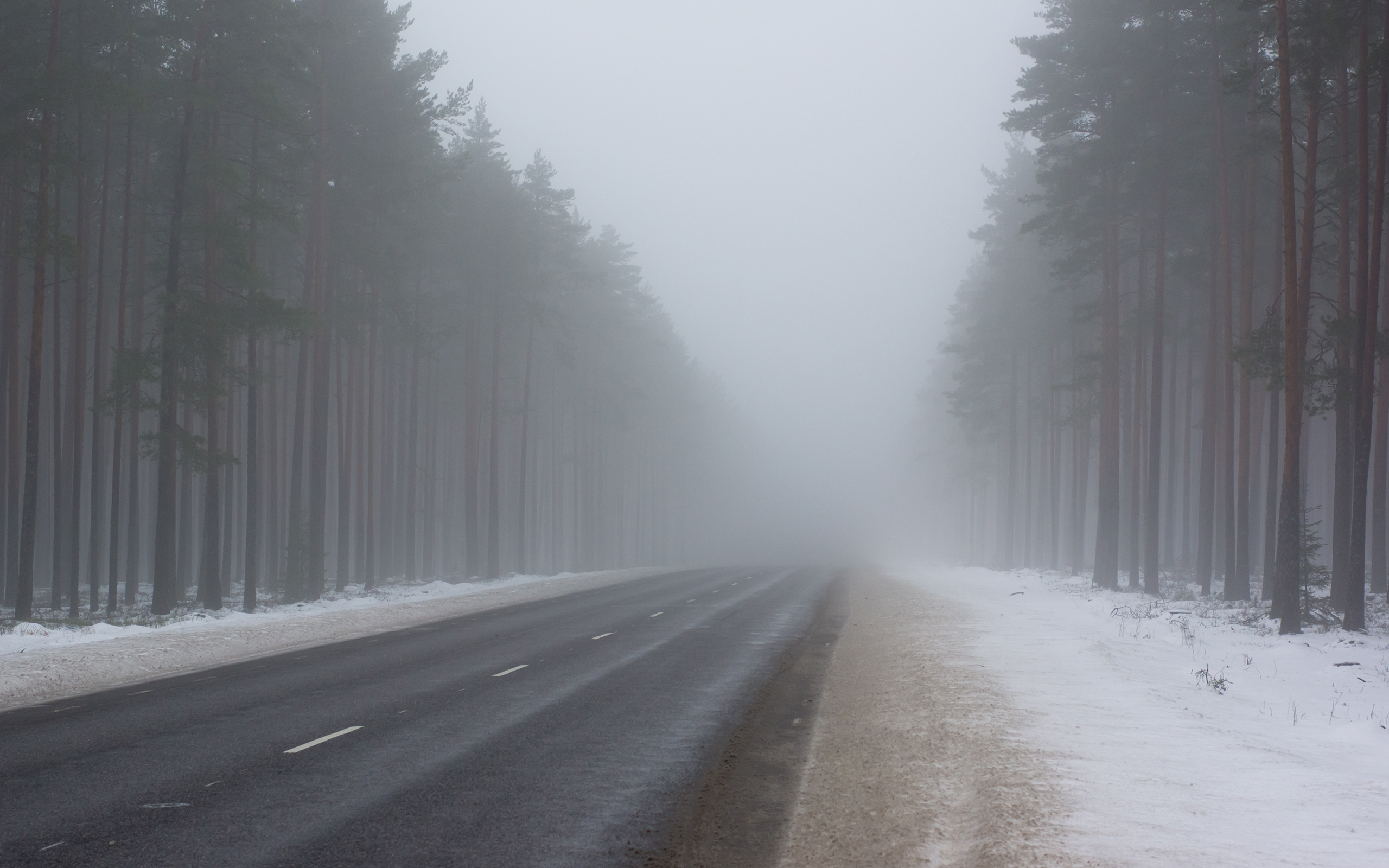 Туман На Дороге Фото