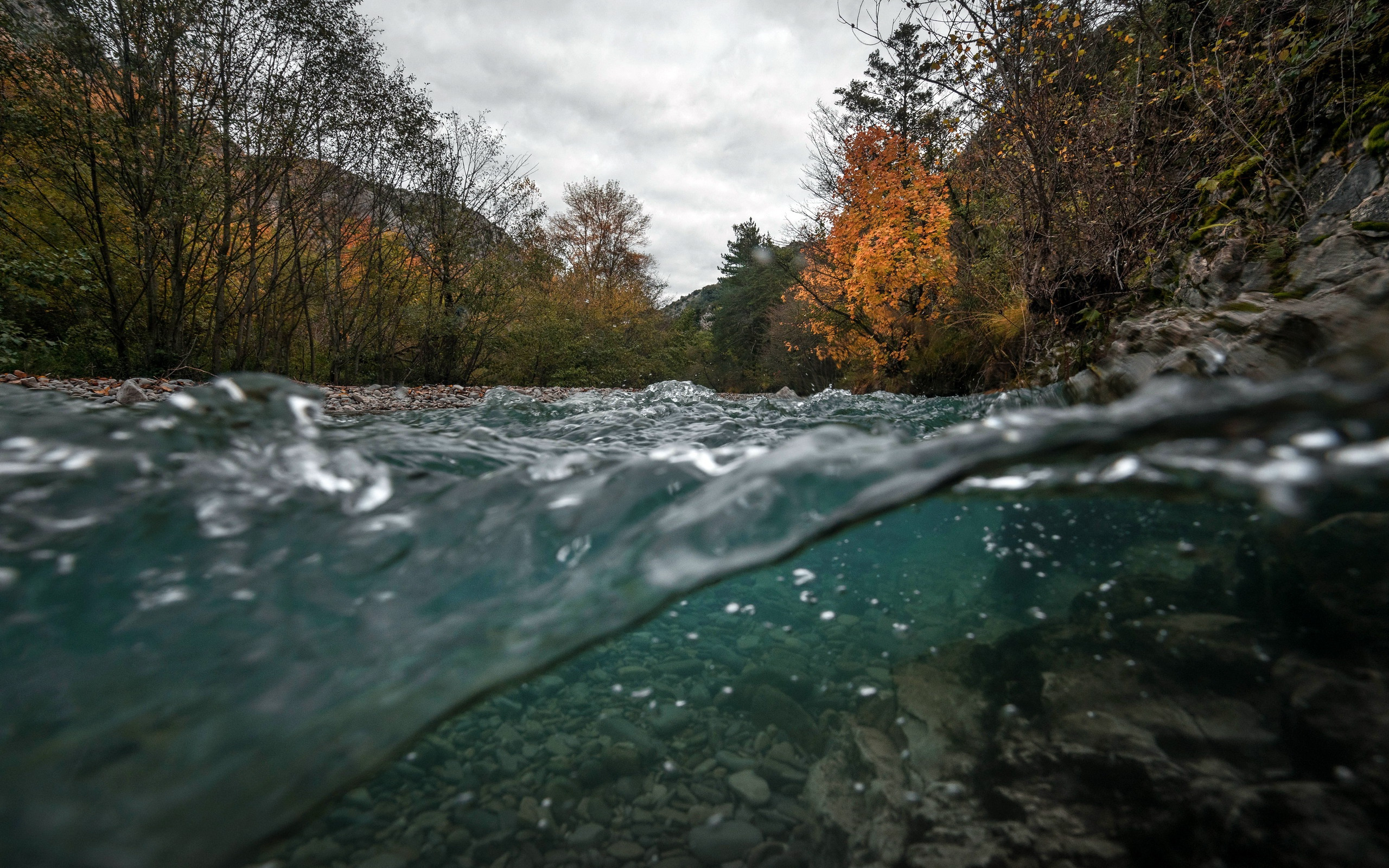 Словно в речке вода. Река Водгать. Вода в реке картинки. Природа река без воды. Цвет воды в речке осенью.