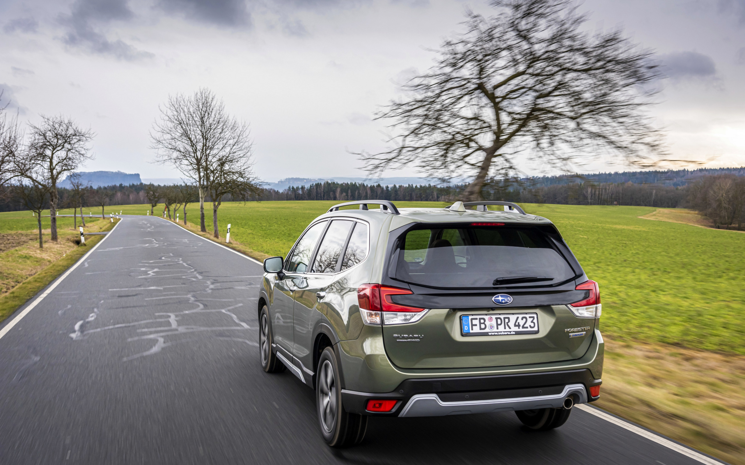 Subaru Forester 2021 осень