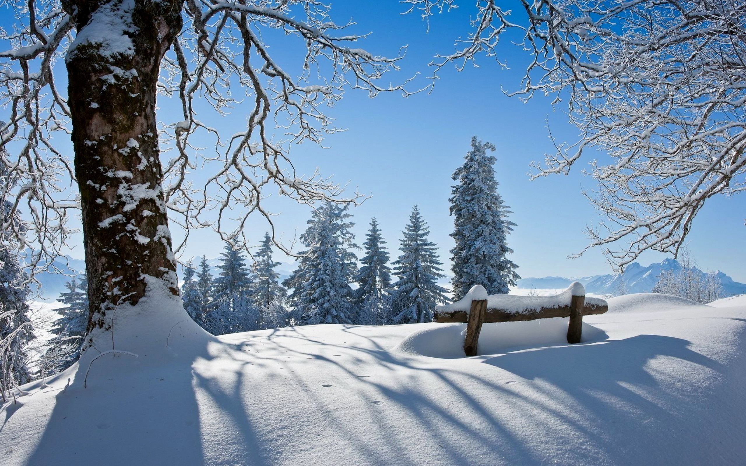 Видео природа зима. Зимний пейзаж. Снежный пейзаж. Красивая зима. Красивая Снежная зима.