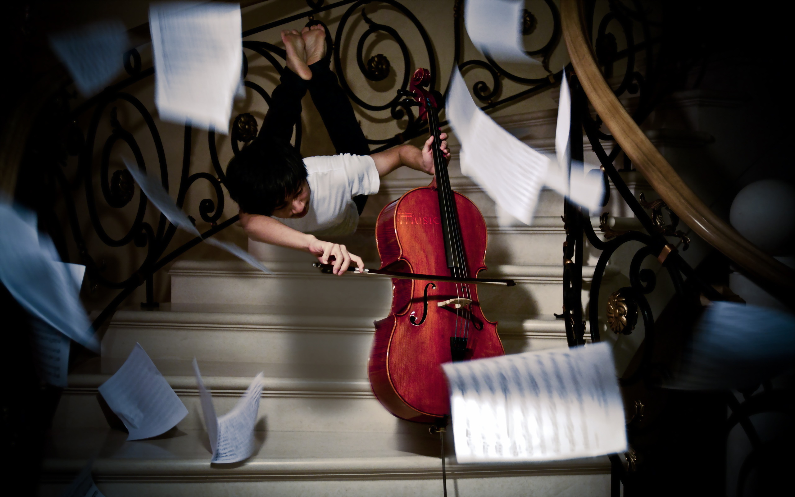 Violin cello