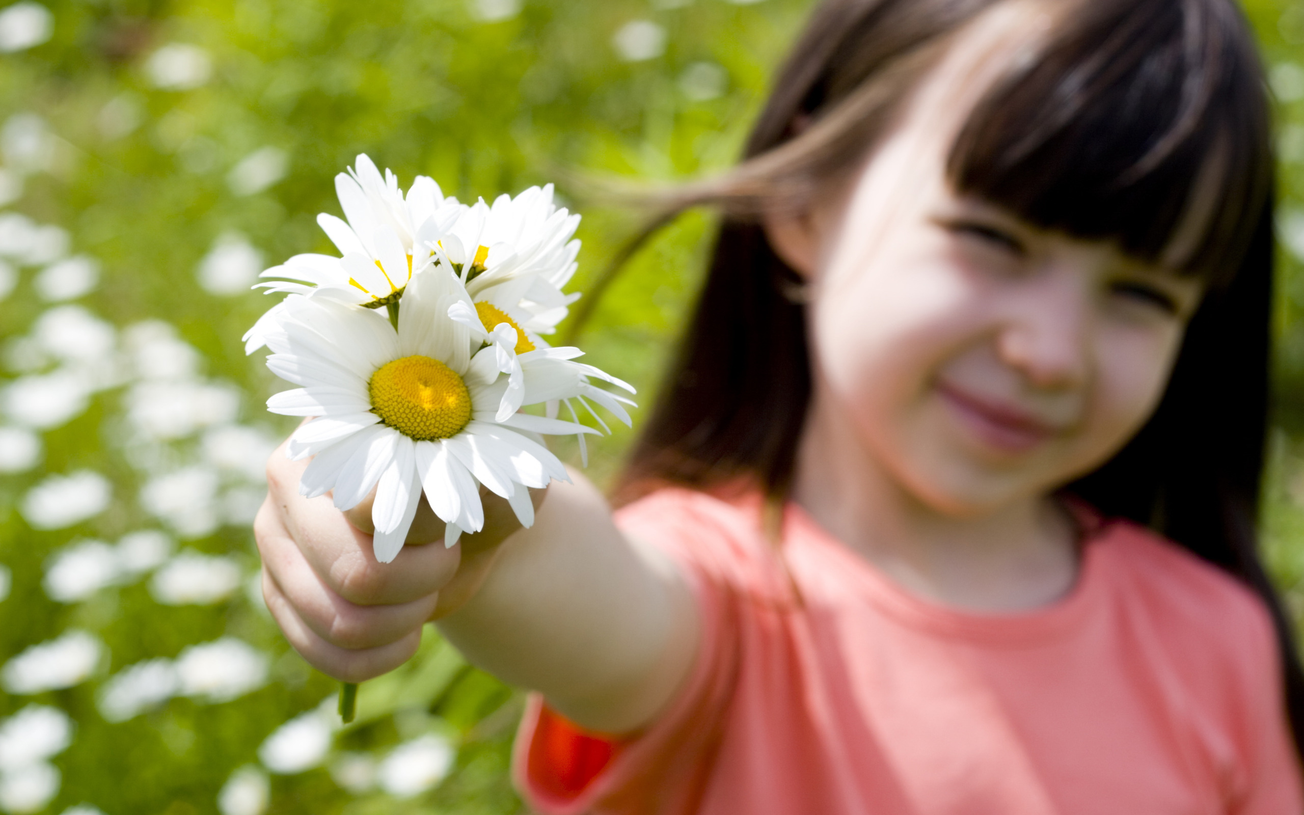 Цветочка счастья. Девочка с цветами. Ребенок с цветами в руках. Ребенок с цветком в руках. Девочка в ромашках.