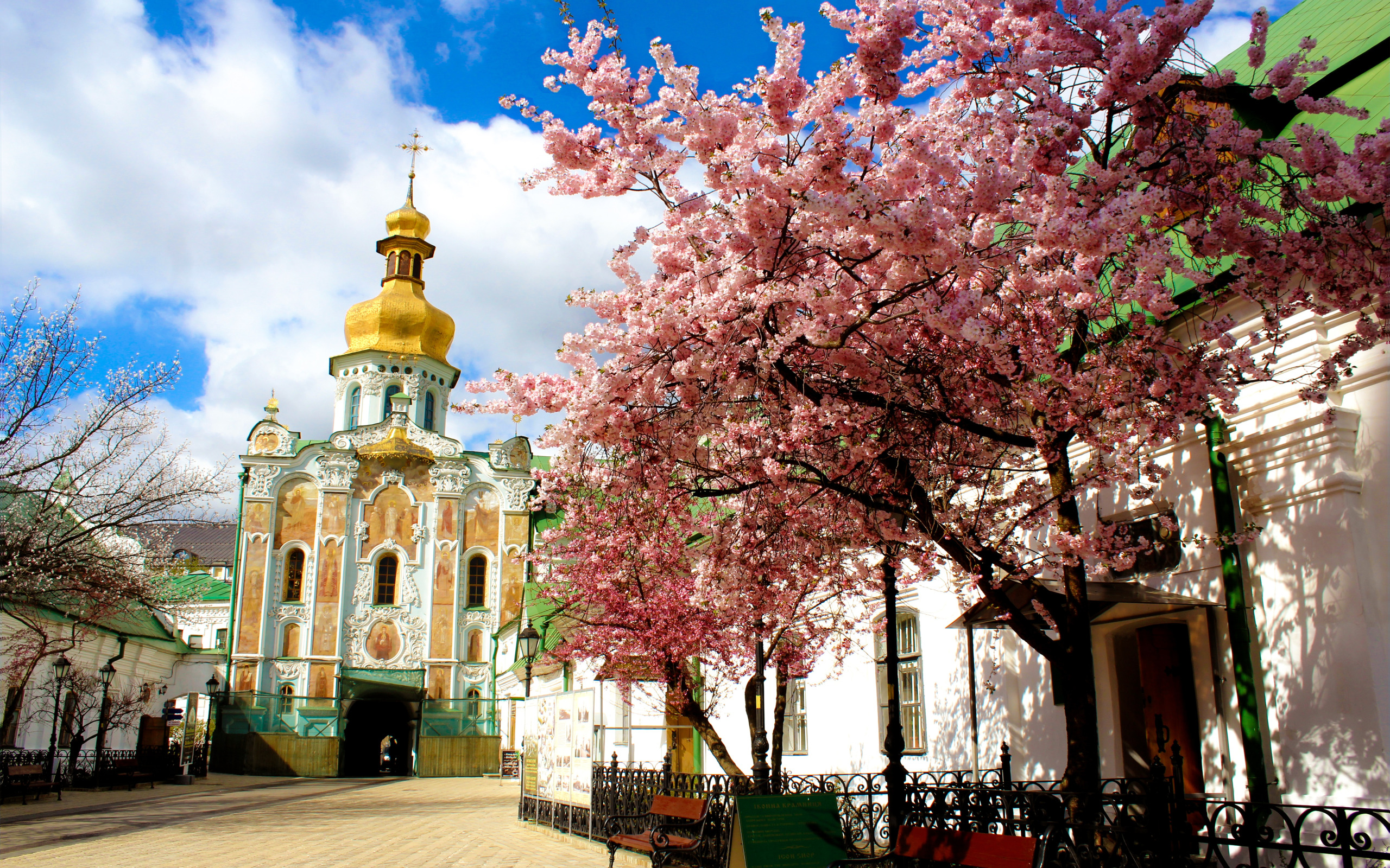 Город в цвету фото