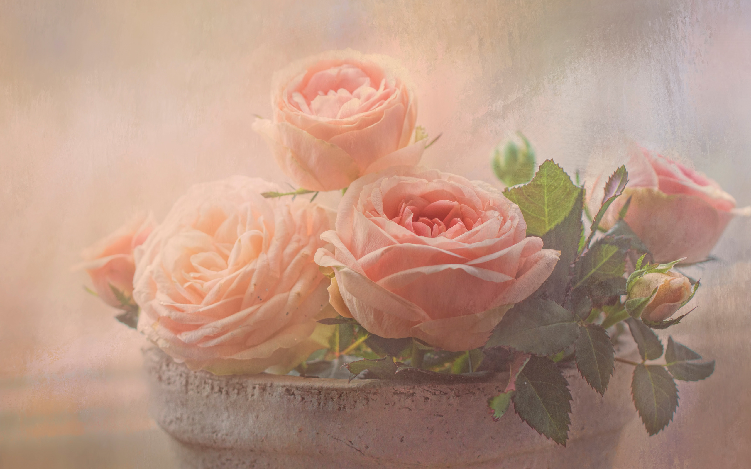Нежная открытка с днем рождения для женщины. Букет "розы Остина". Нежные розы. Нежный цветок. Цветы в пастельных тонах.