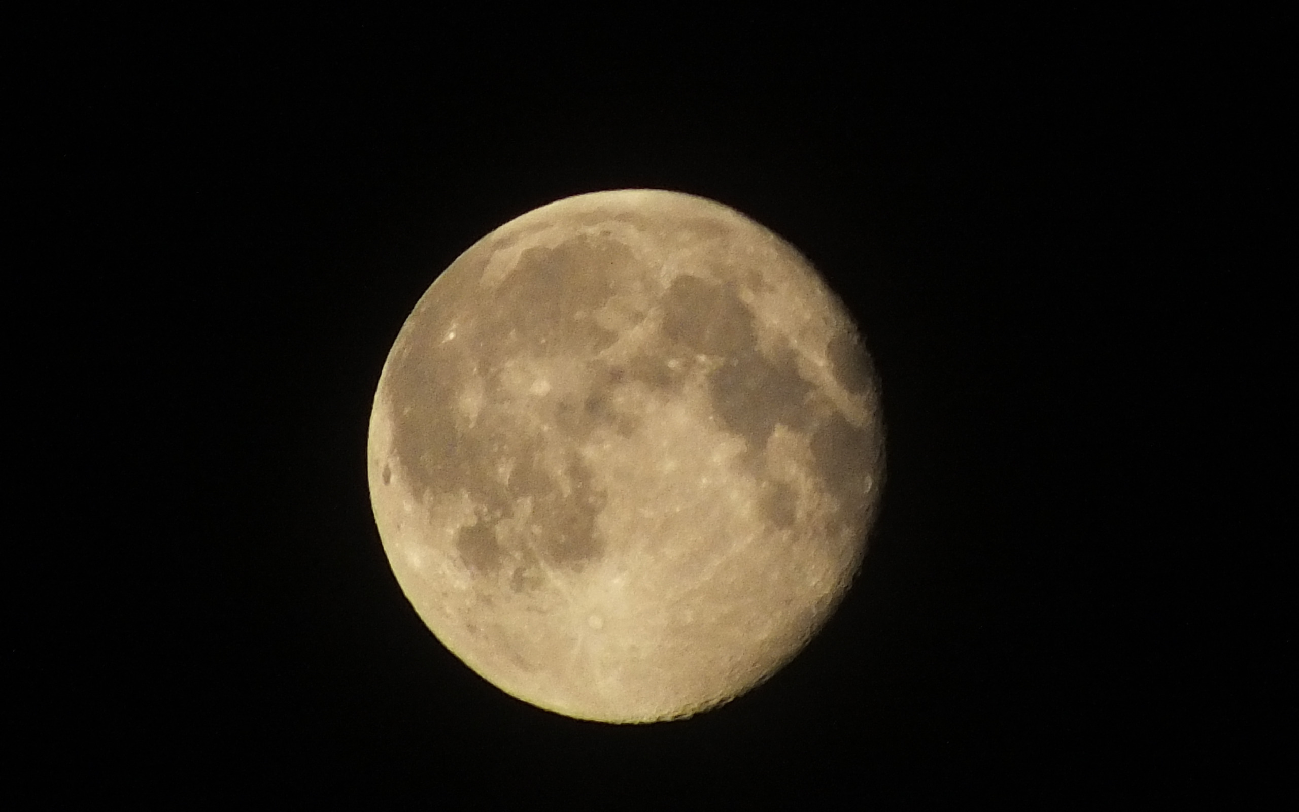 Луна как желтый медведь. Текстура Луны. Лицо на Луне фото. Снежная Луна. Супер Луна.
