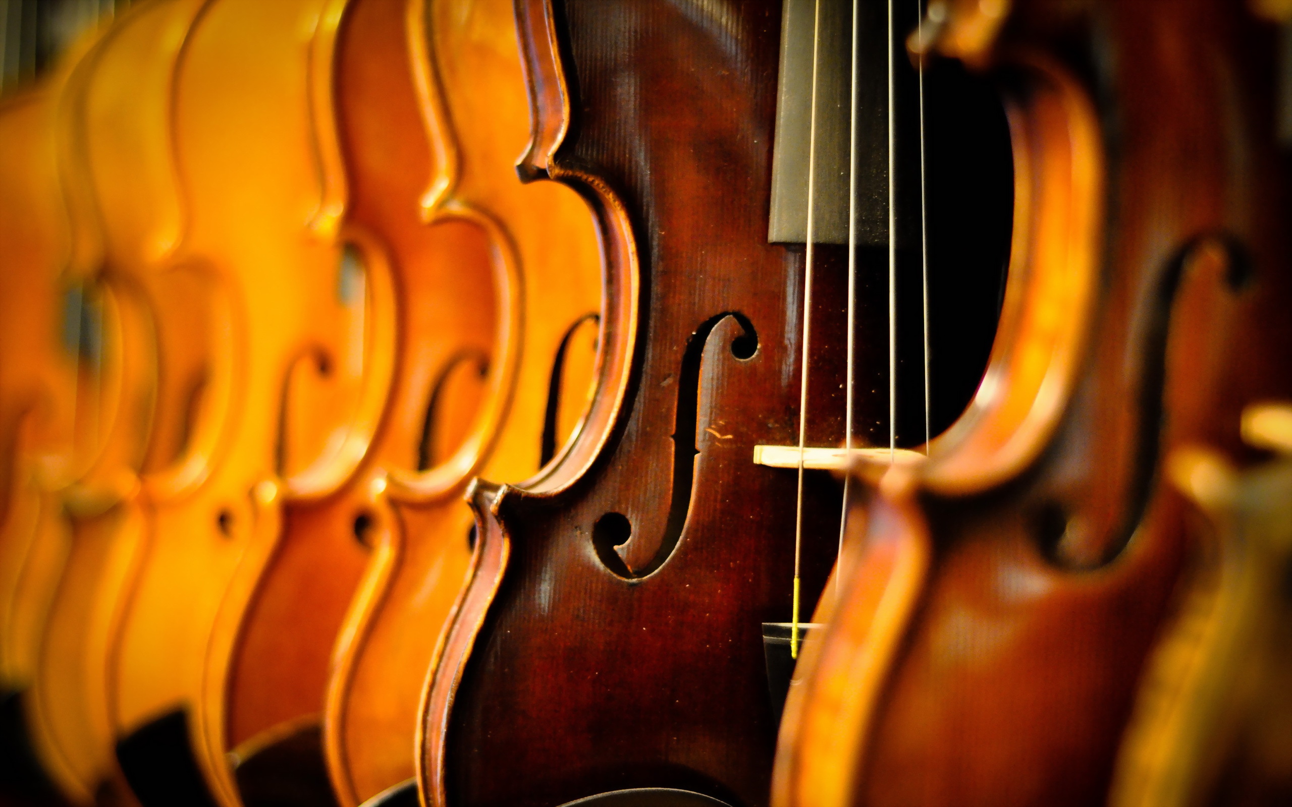Violin музыка. Скрипка. Классические музыкальные инструменты. Скрипка фото. Музыкальный инструмент макро.