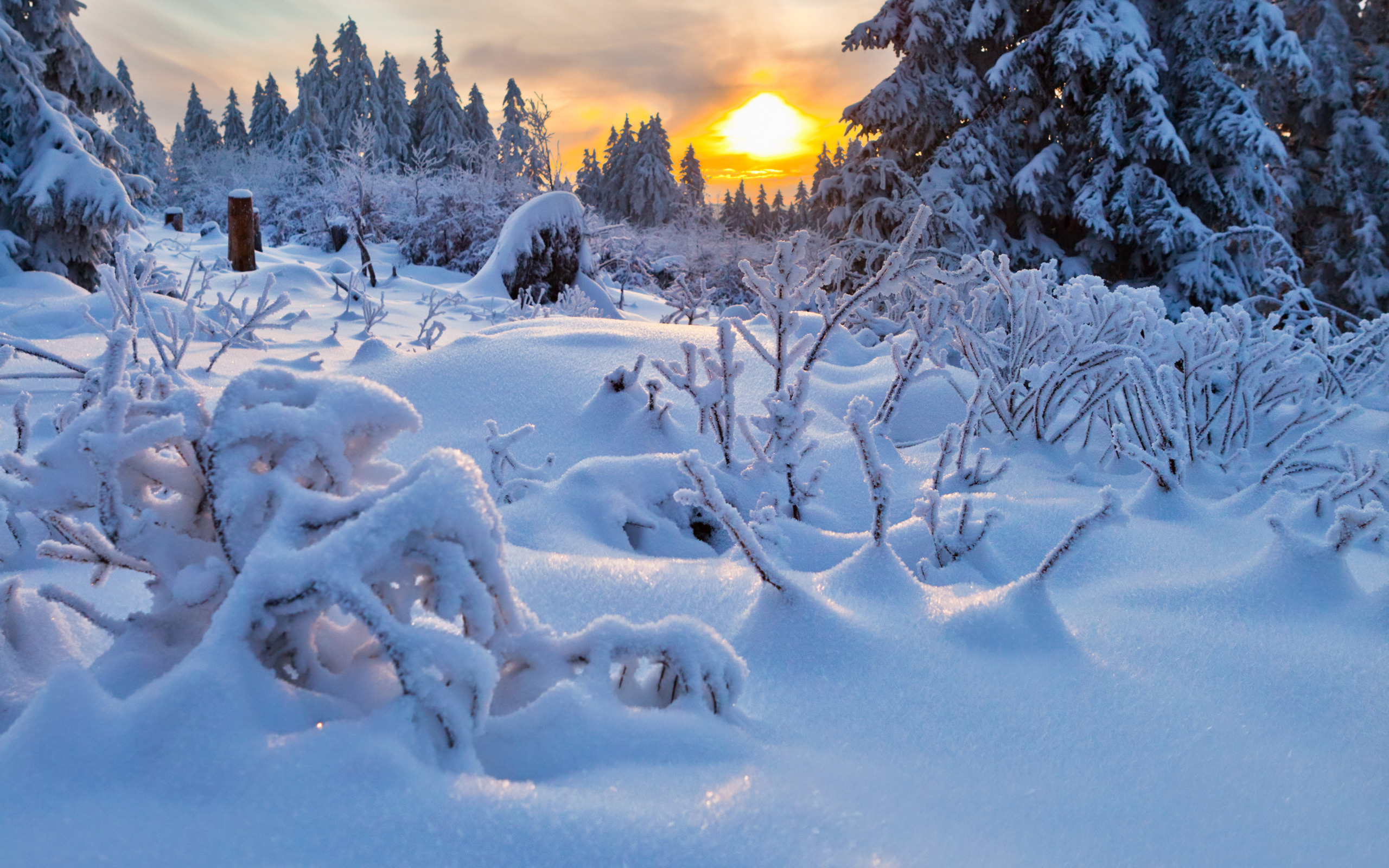 Доброе утро красивый снег. Зима пейзаж. Зимняя палитра цветов. Зимние обои. Красивая зима.