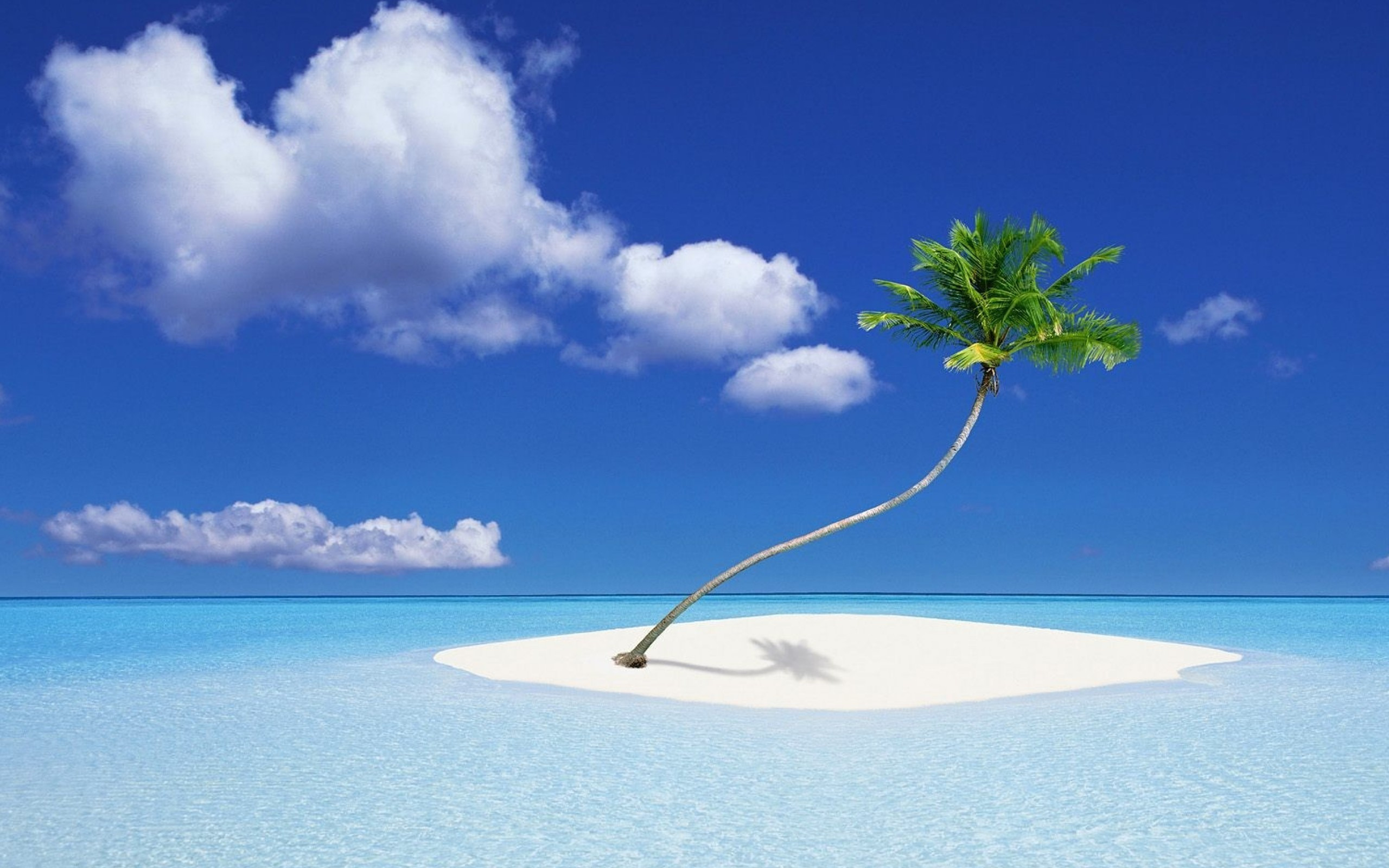 Островок. Остров Пальма. Острова с пальмами и белым песком. Пальма Баунти. Обложка для фейсбука.