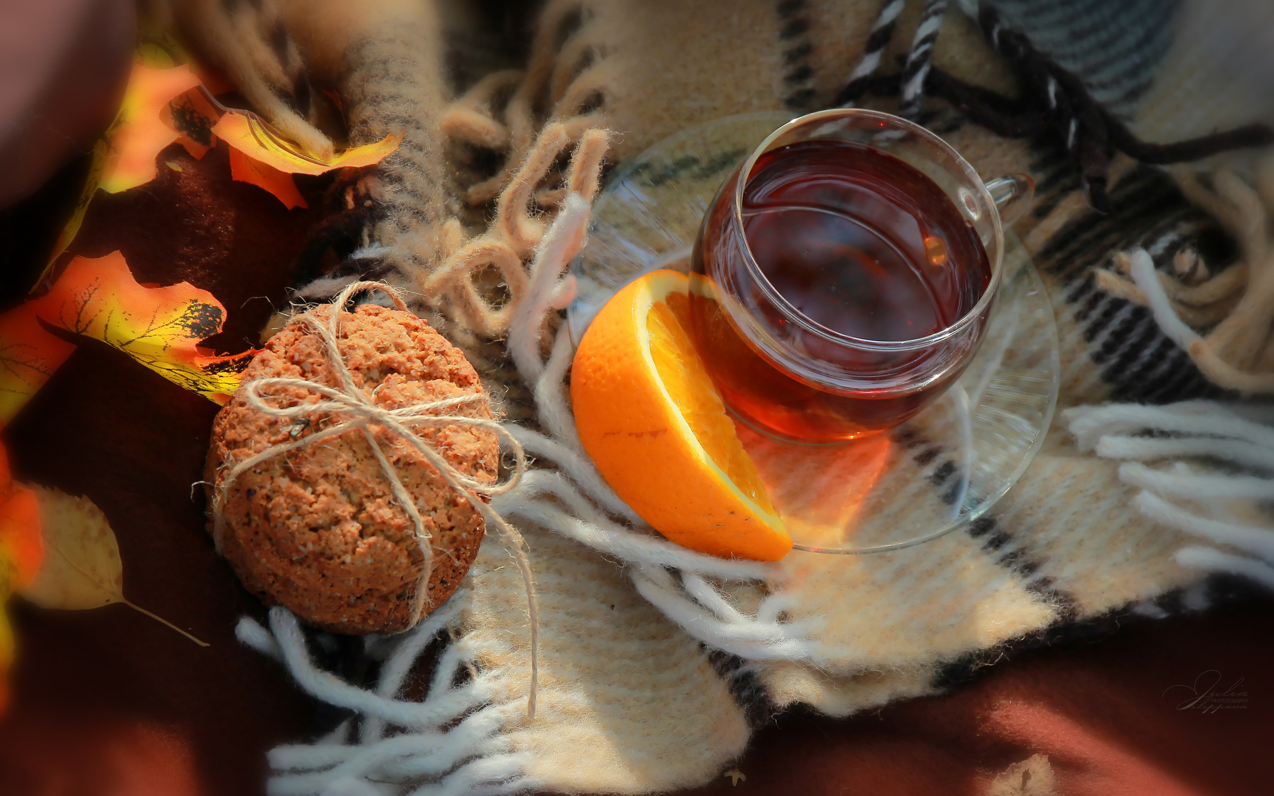 Скачать обои осень, тепло, настроение, чай, апельсины, плед, autumn, tea, раздел