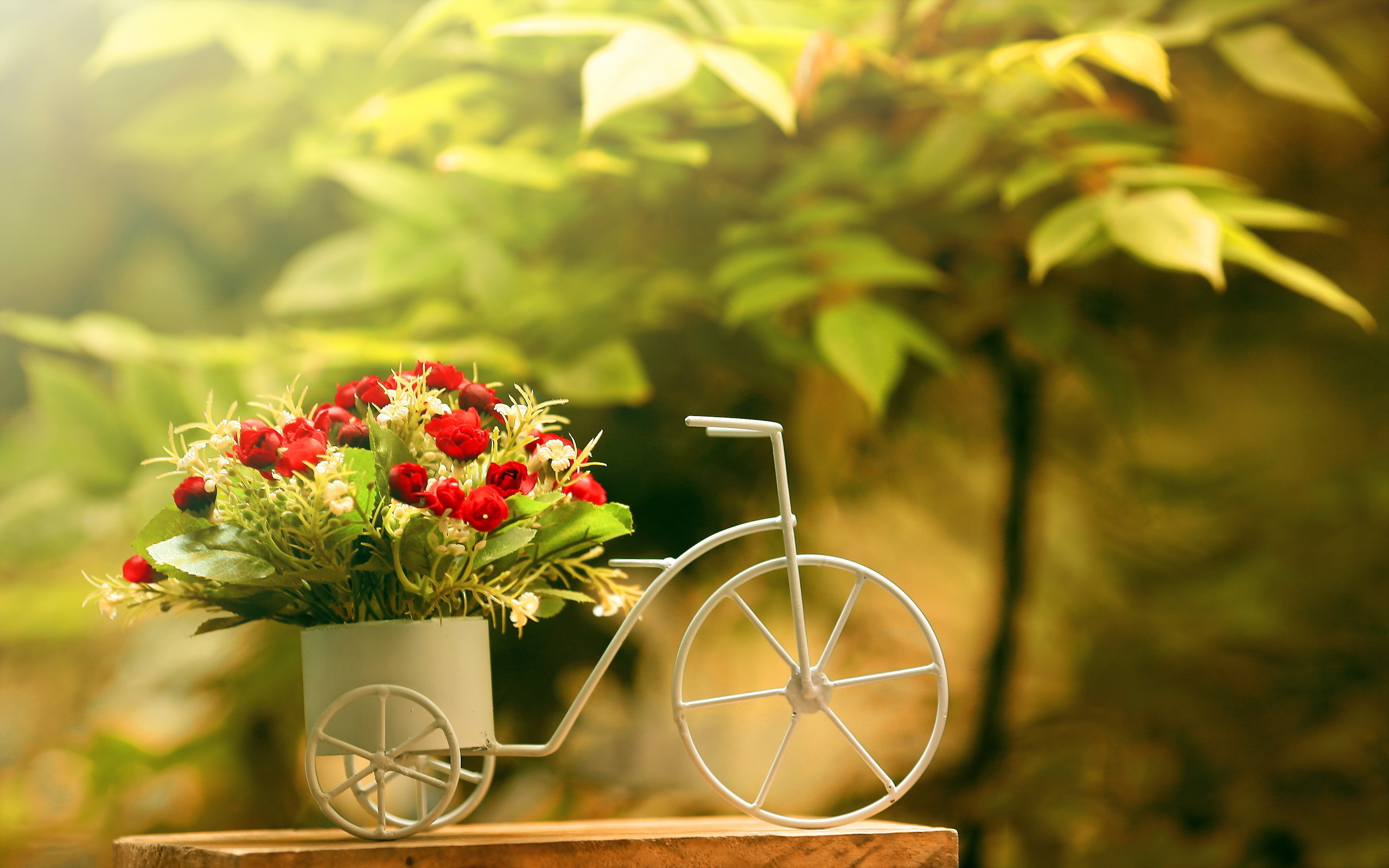Фон доброго дня. Велосипед с цветами. Летние цветочные композиции. Заставка с цветами. Яркие летние цветы.
