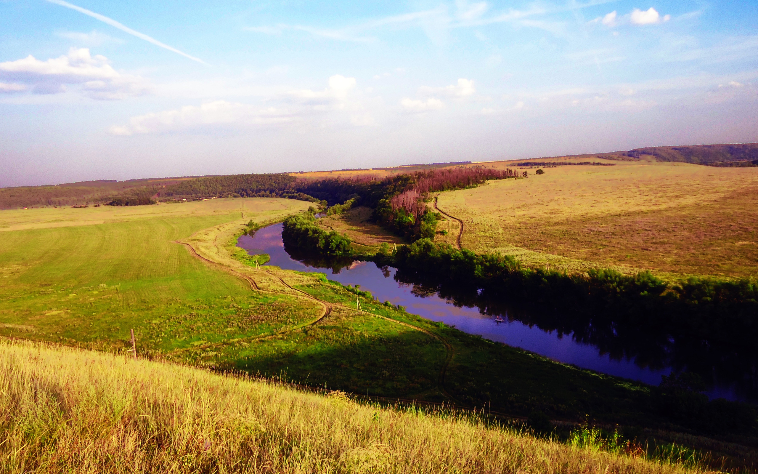 река в поле