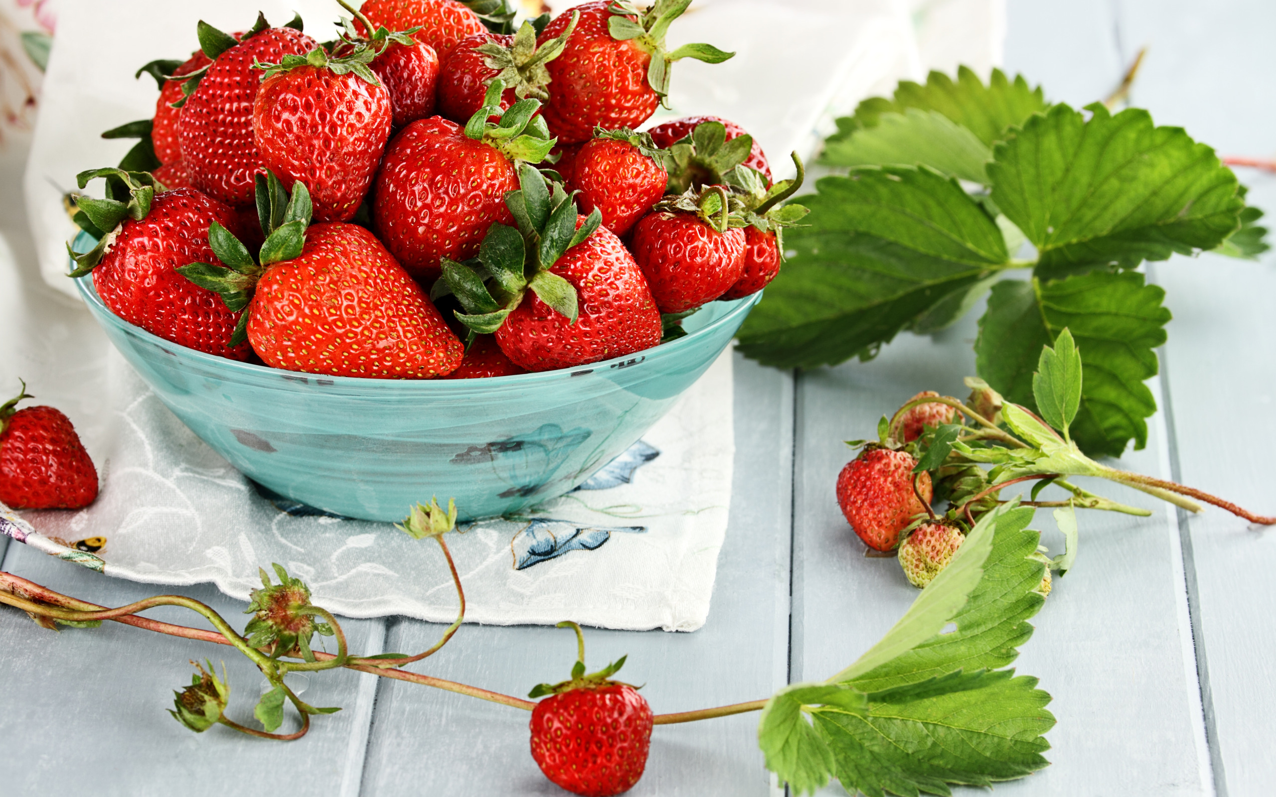 Strawberry fresh. Клубника Строуберри. Клубника картинка. Клубника ягода. Красивая клубника.