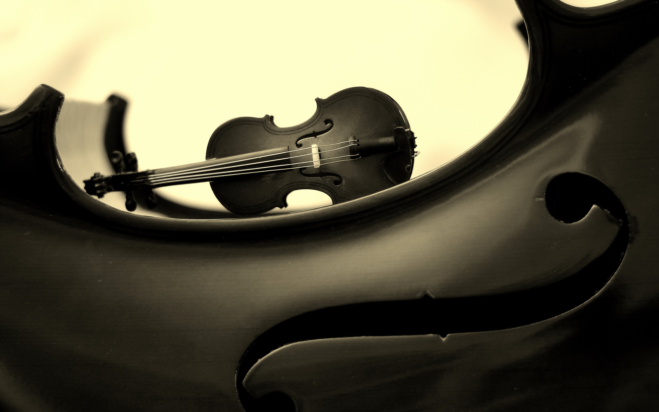 Violin скрипка. Скрипка. Скрипка фото. Красивая скрипка. Виолончель фон.
