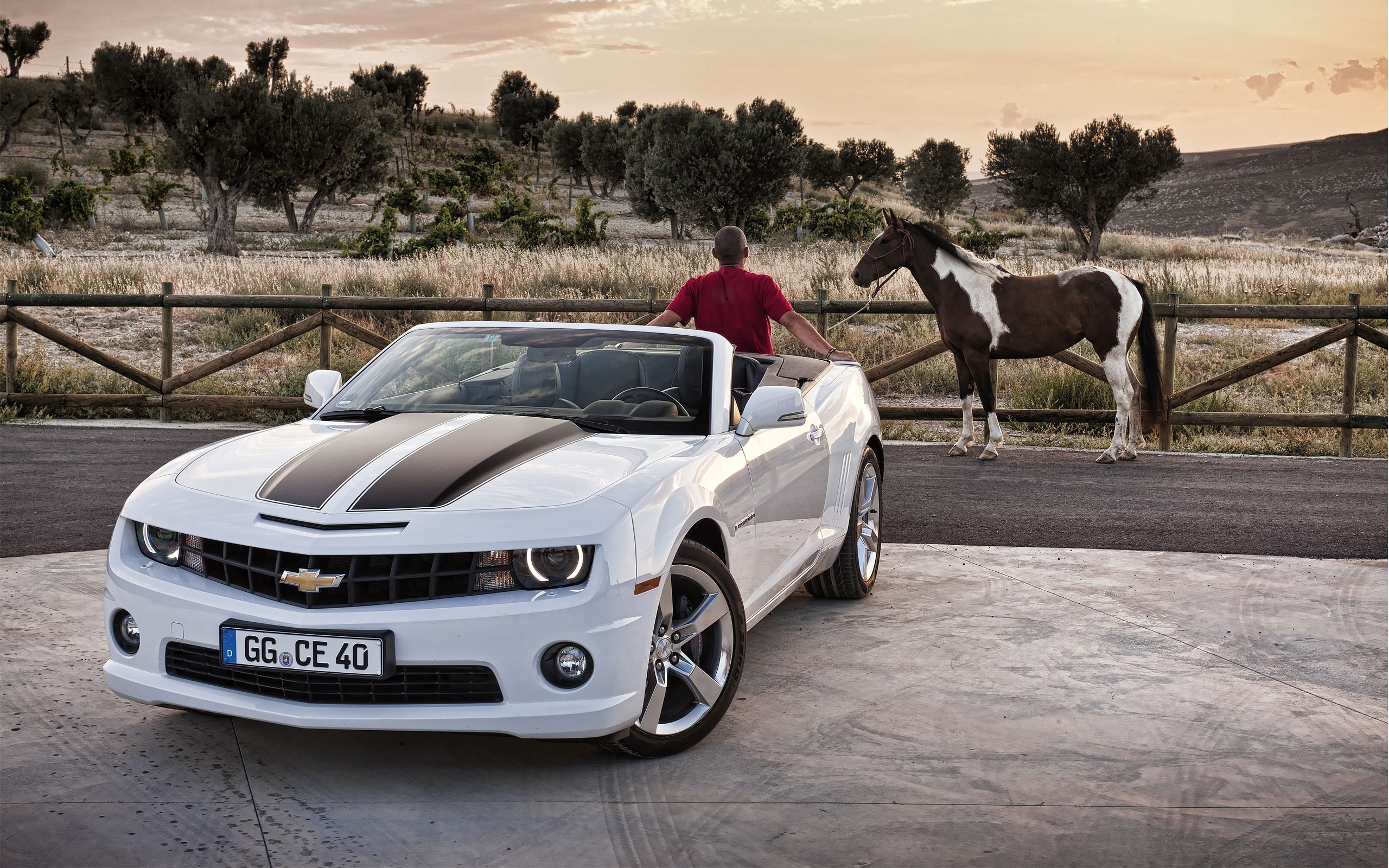 Скачать обои дорога, лошадь, забор, Chevrolet, Camaro, мужчина, раздел  машины в разрешении 2560x1600