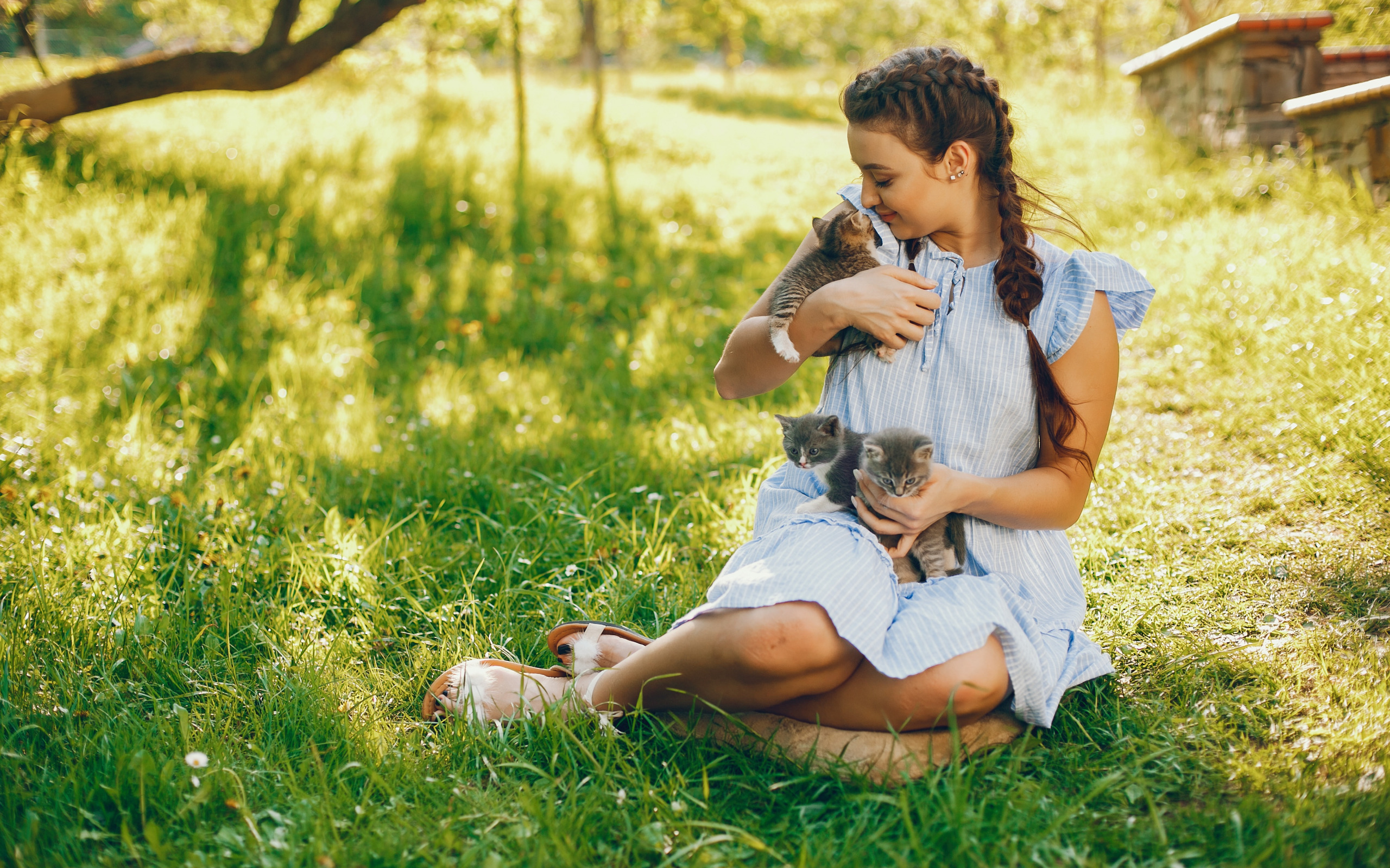 Young petting. Девочка с котенком фото. Девушка на Поляне в лесу. 3 Цветный котенок девочка на природе.