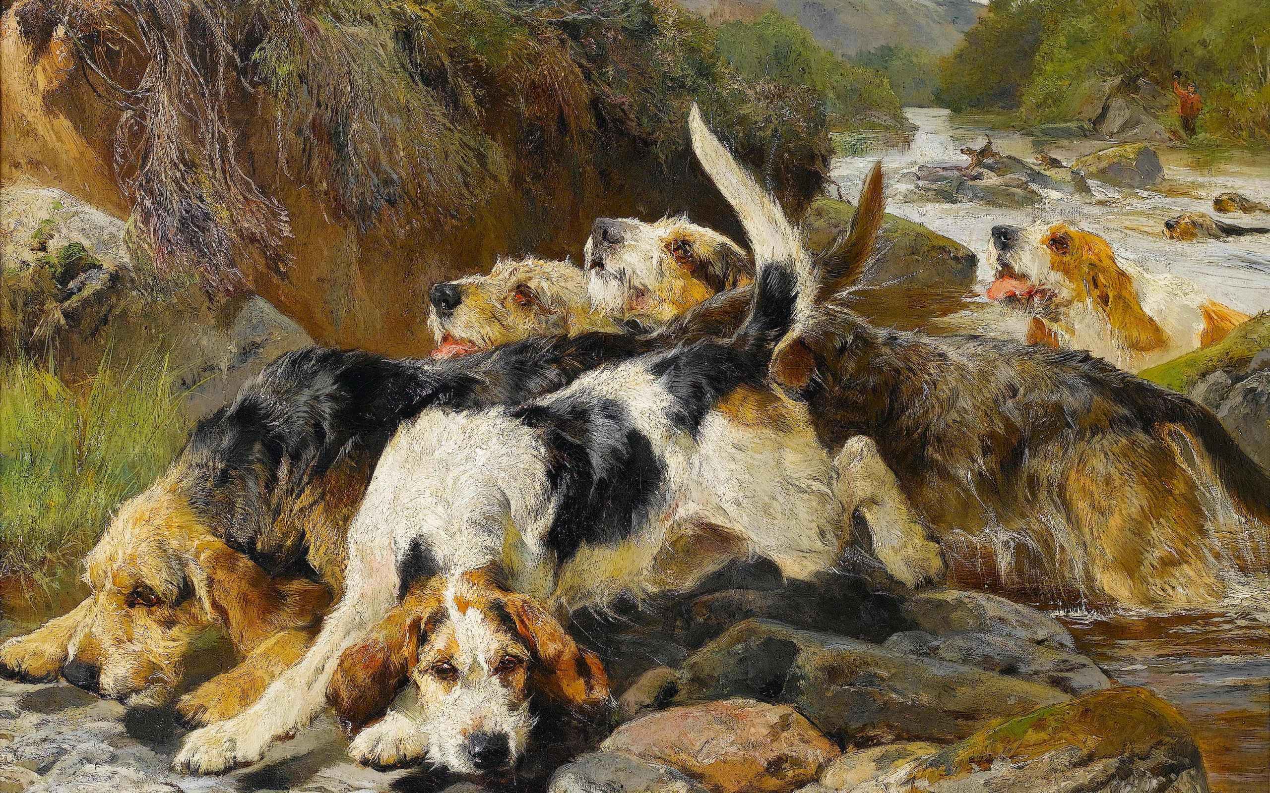 реку с собаками