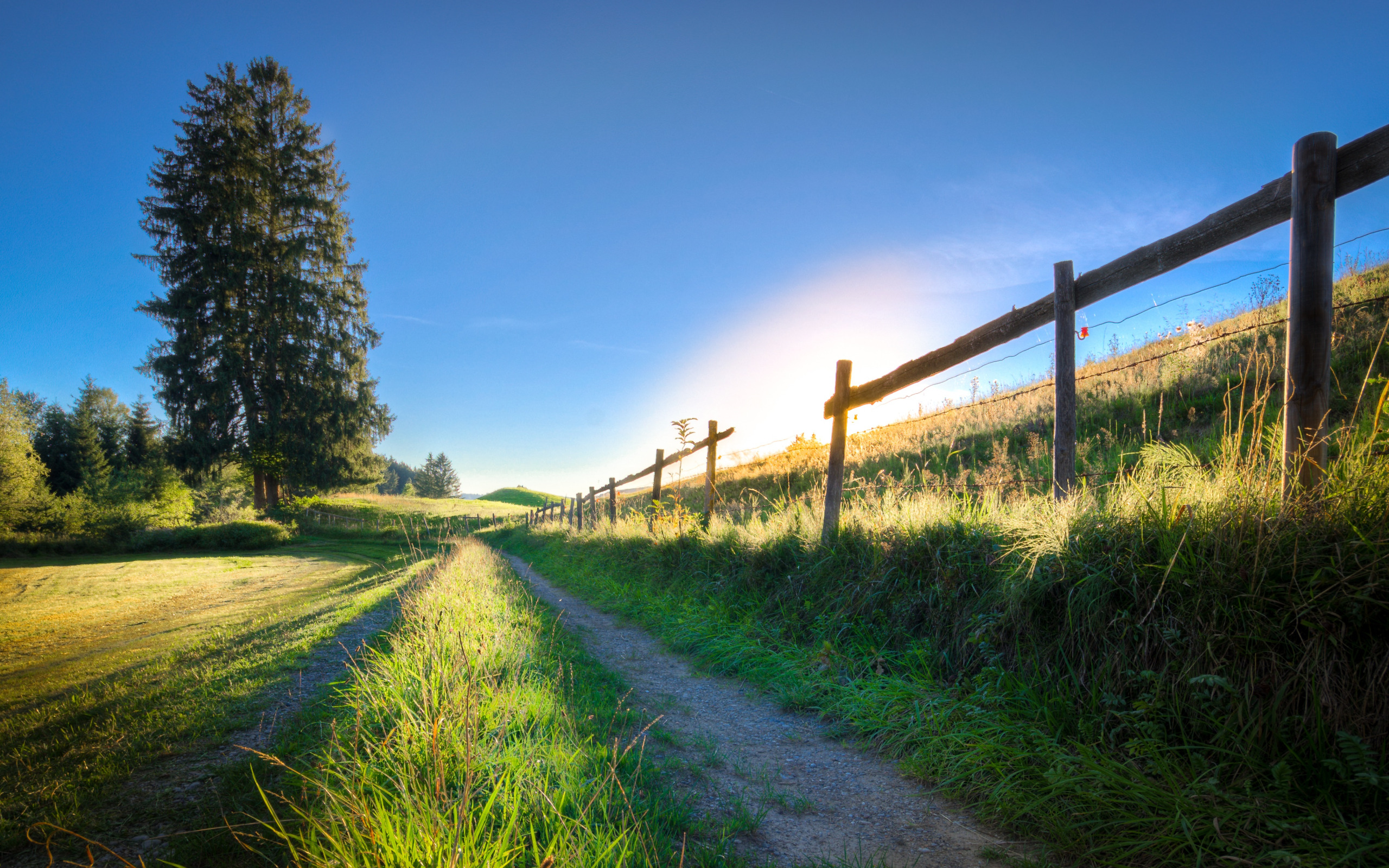 Germany summer. Германия обои лето. Забор деревня картина лето. Обое бесконечной лето Germany. Обои лето ретро Германия на рабочий стол.