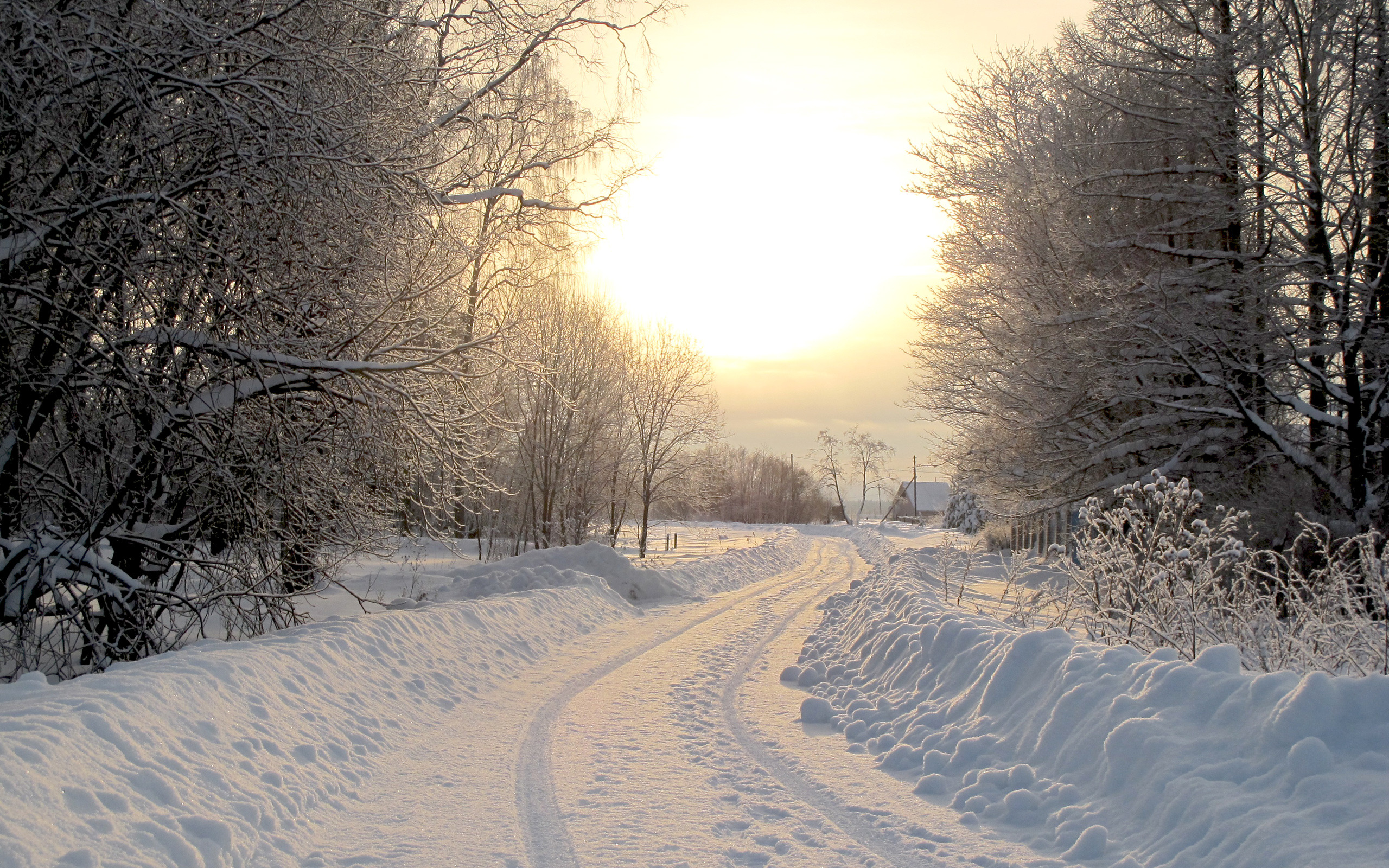 Январские сугробы. Зимняя дорога. Зима в деревне. Заснеженная дорога в лесу. Дорога зимой.