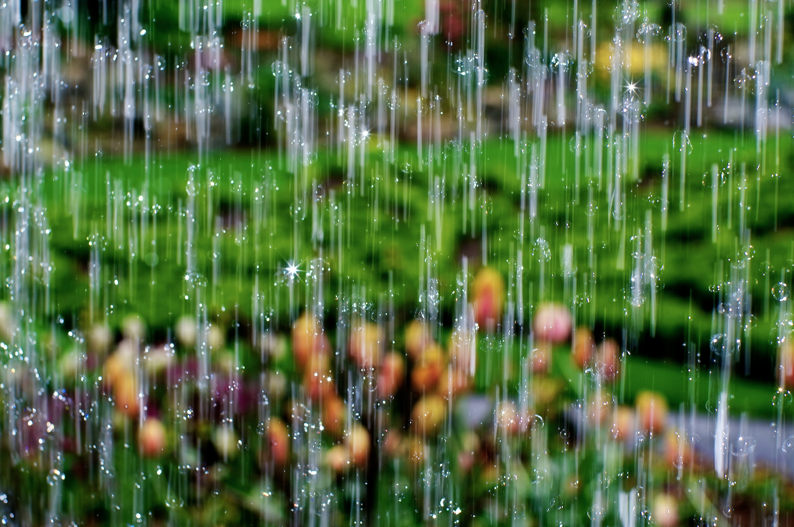 Rainy. Капли дождя. Летний дождь. Красивый дождь. Природа дождь.