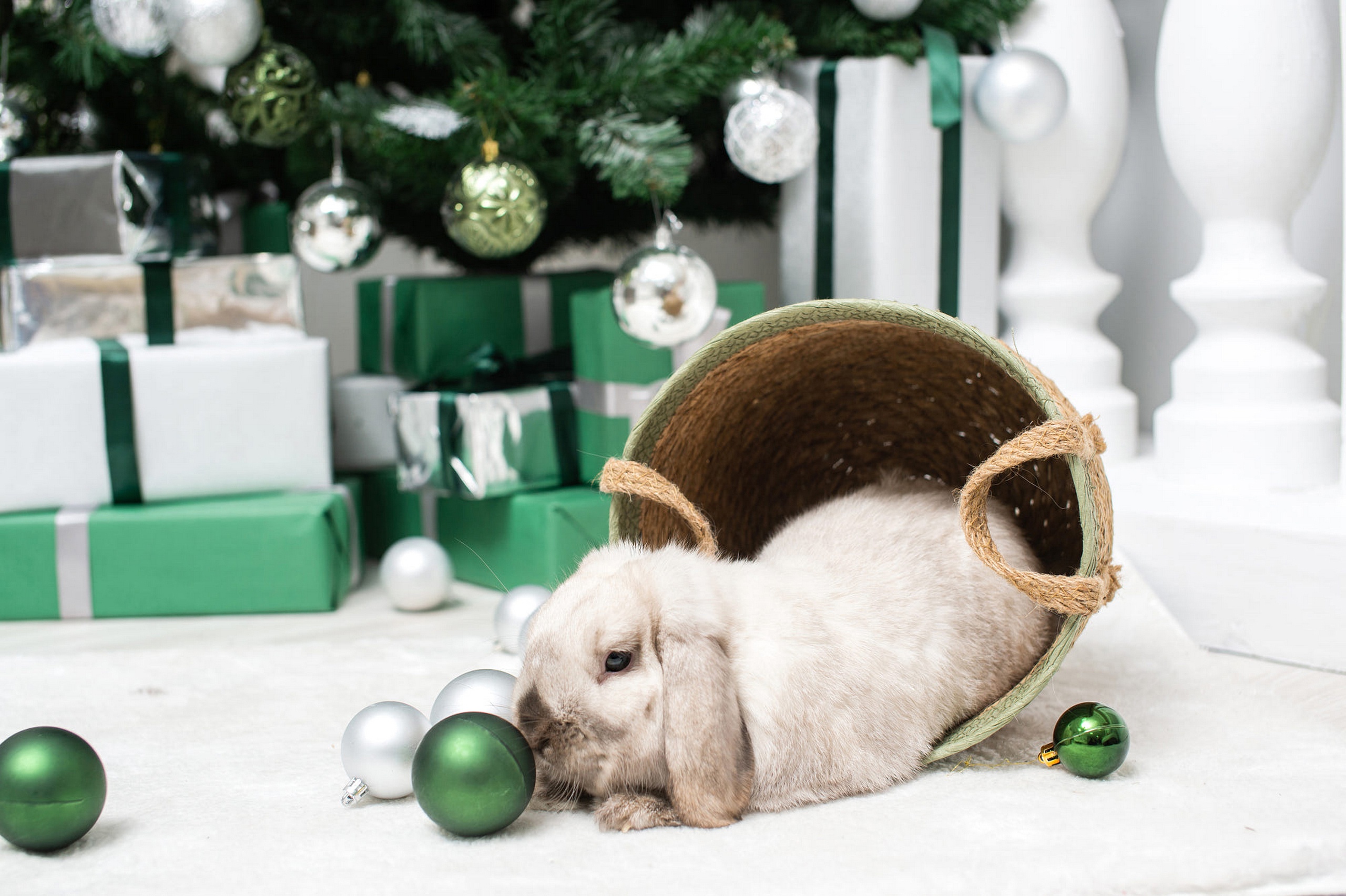 Новым годом год кролика. Новогодний кролик. Кролик Рождество. Новогодний заяц. Новогодние обои.