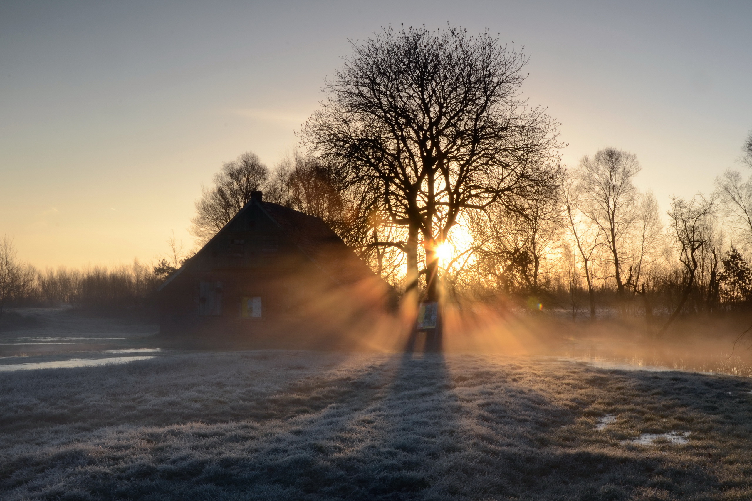 Утро буда. Зимнее утро в деревне. Деревня в тумане. Туманное утро в деревне. Туман зимой в деревне.