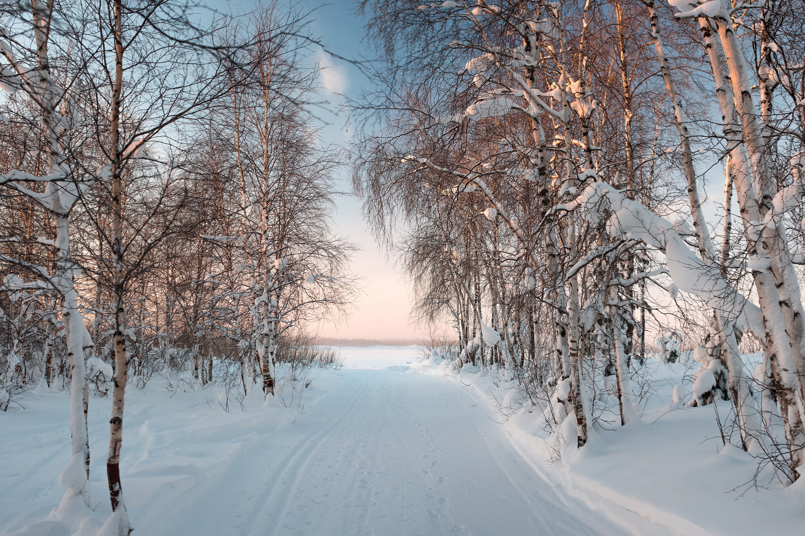 Зимний пейзаж