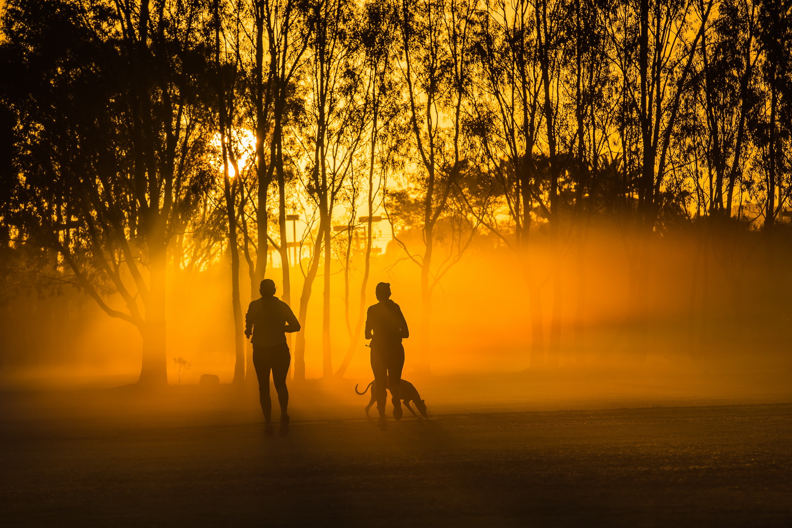 Walk wallpaper. Бегущий на закате. Утренняя пробежка на рассвете. Бег в тумане. Утро бег рассвет.