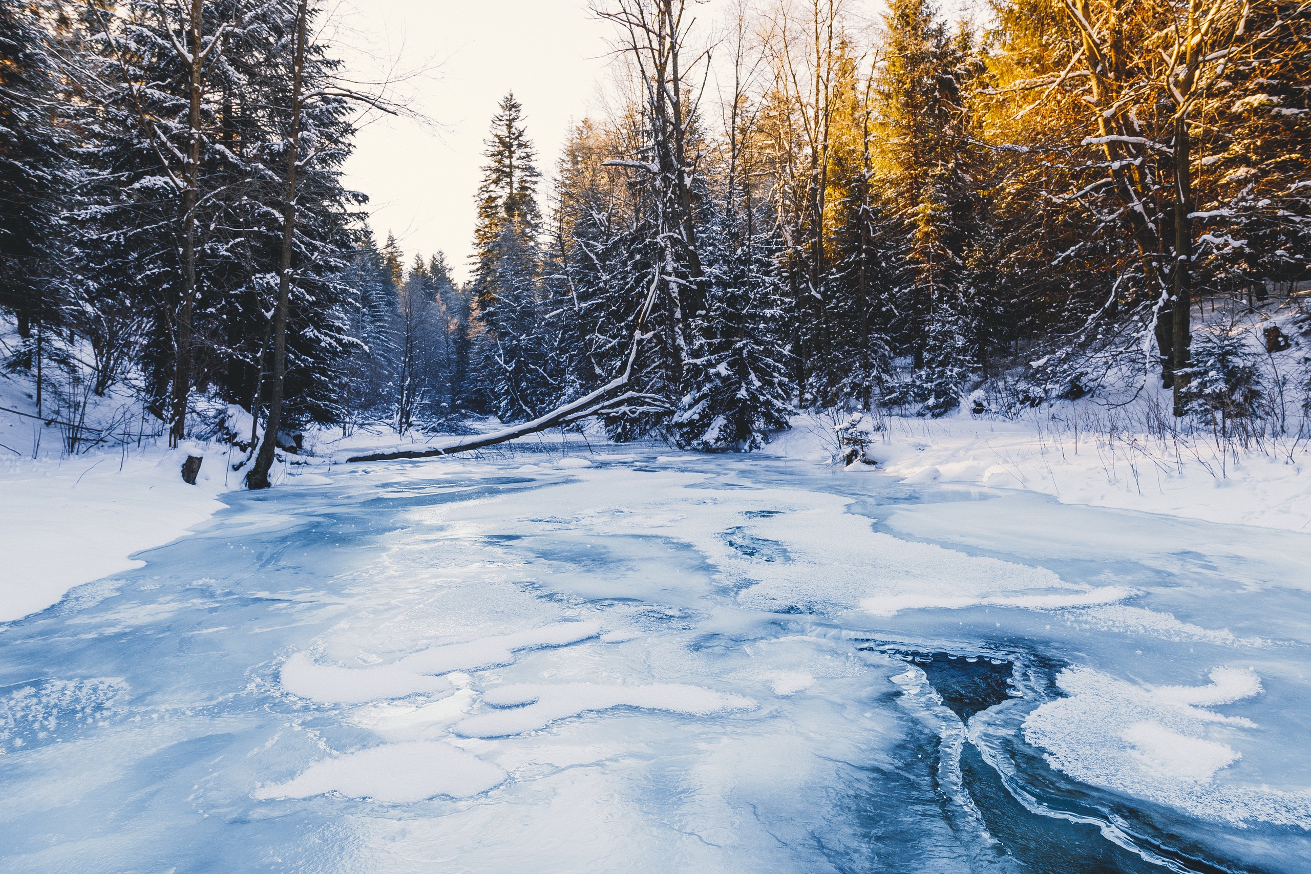 Ice forest. Зимняя река. Зимняя река подо льдом. Зимний лес. Зимняя замерзшая река.