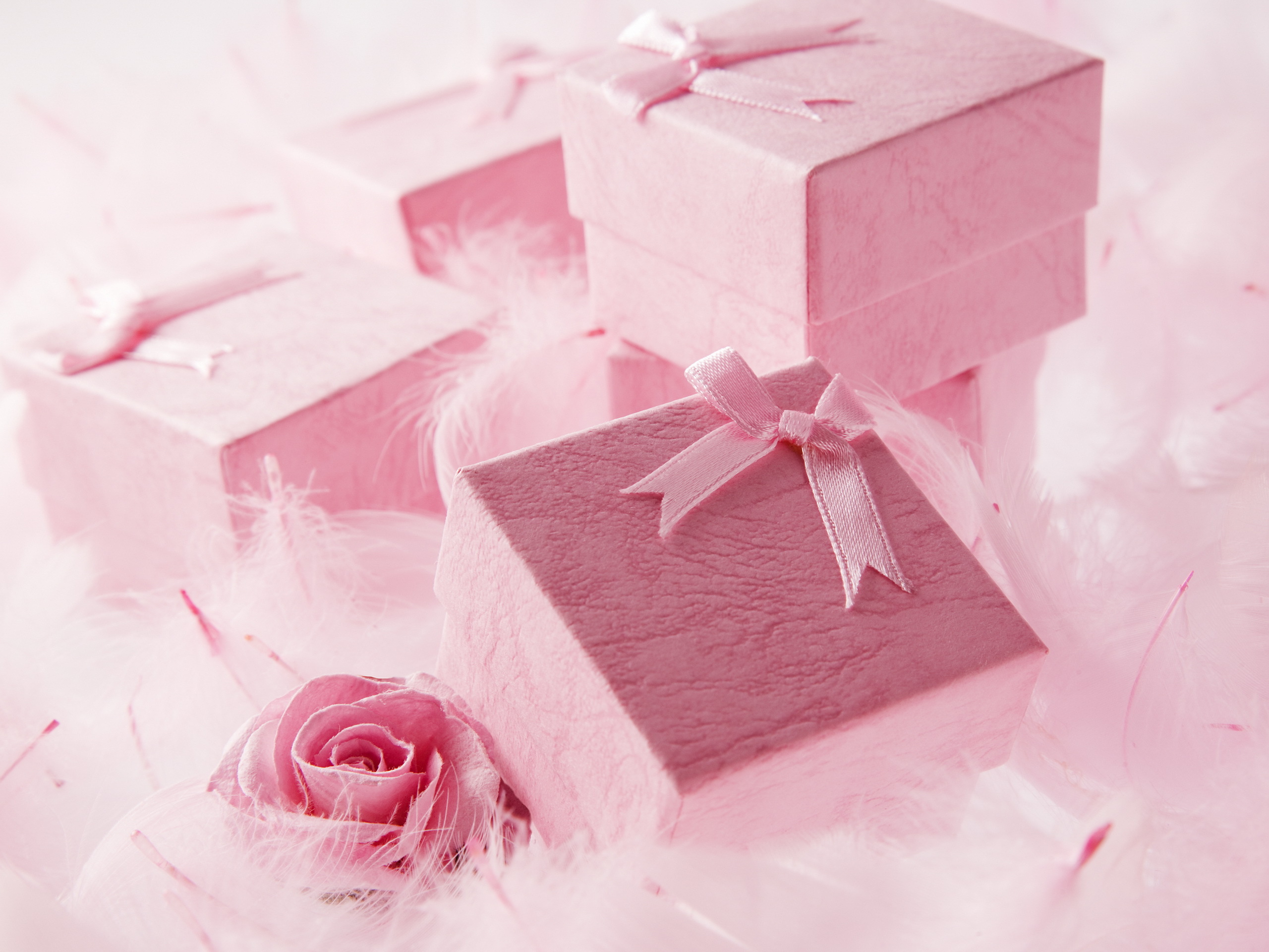 Розовый сюрприз. Подарок розовый. Красивые подарки. Красивая подарочная коробка. Подарок розовая коробка.