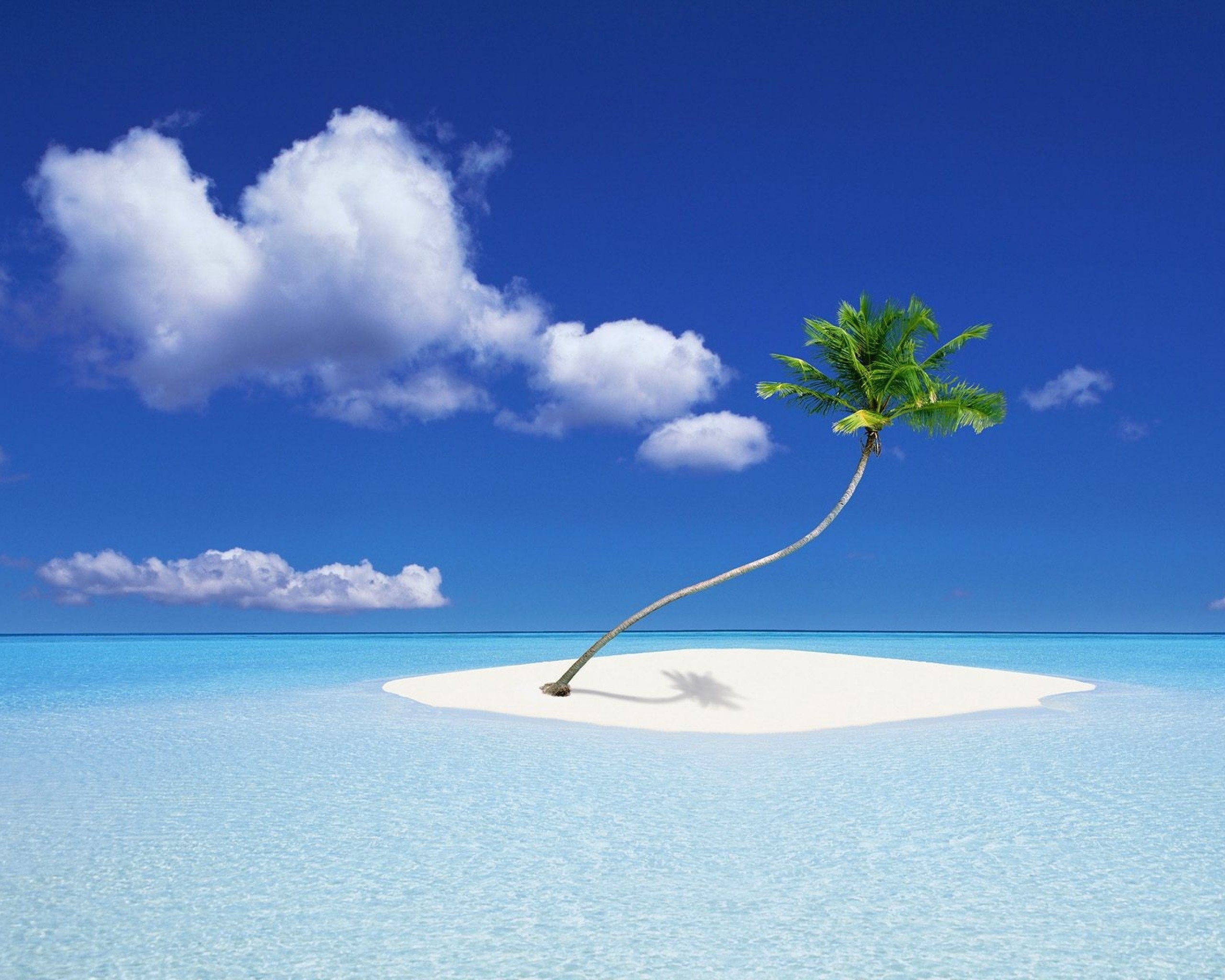 Островок. Остров Пальма. Необитаемый остров в океане. Острова и море. Одинокий остров с пальмой.