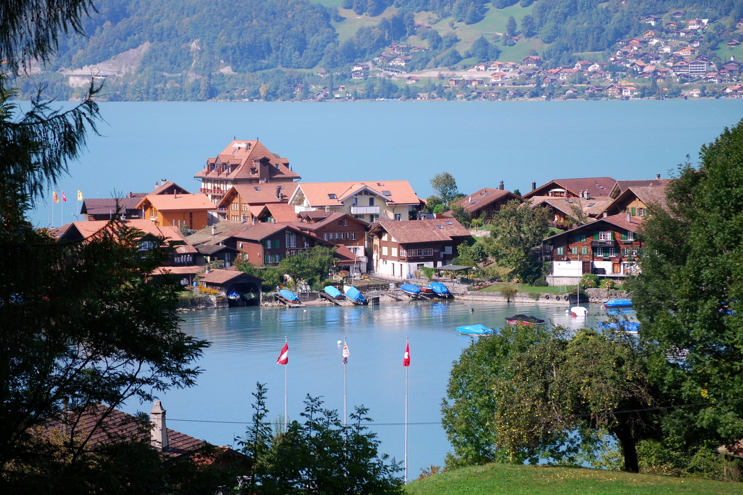 Скачать обои пейзаж, горы, озеро, дома, Швейцария, Switzerland, деревья.,  Берн, раздел город в разрешении 2580x1720