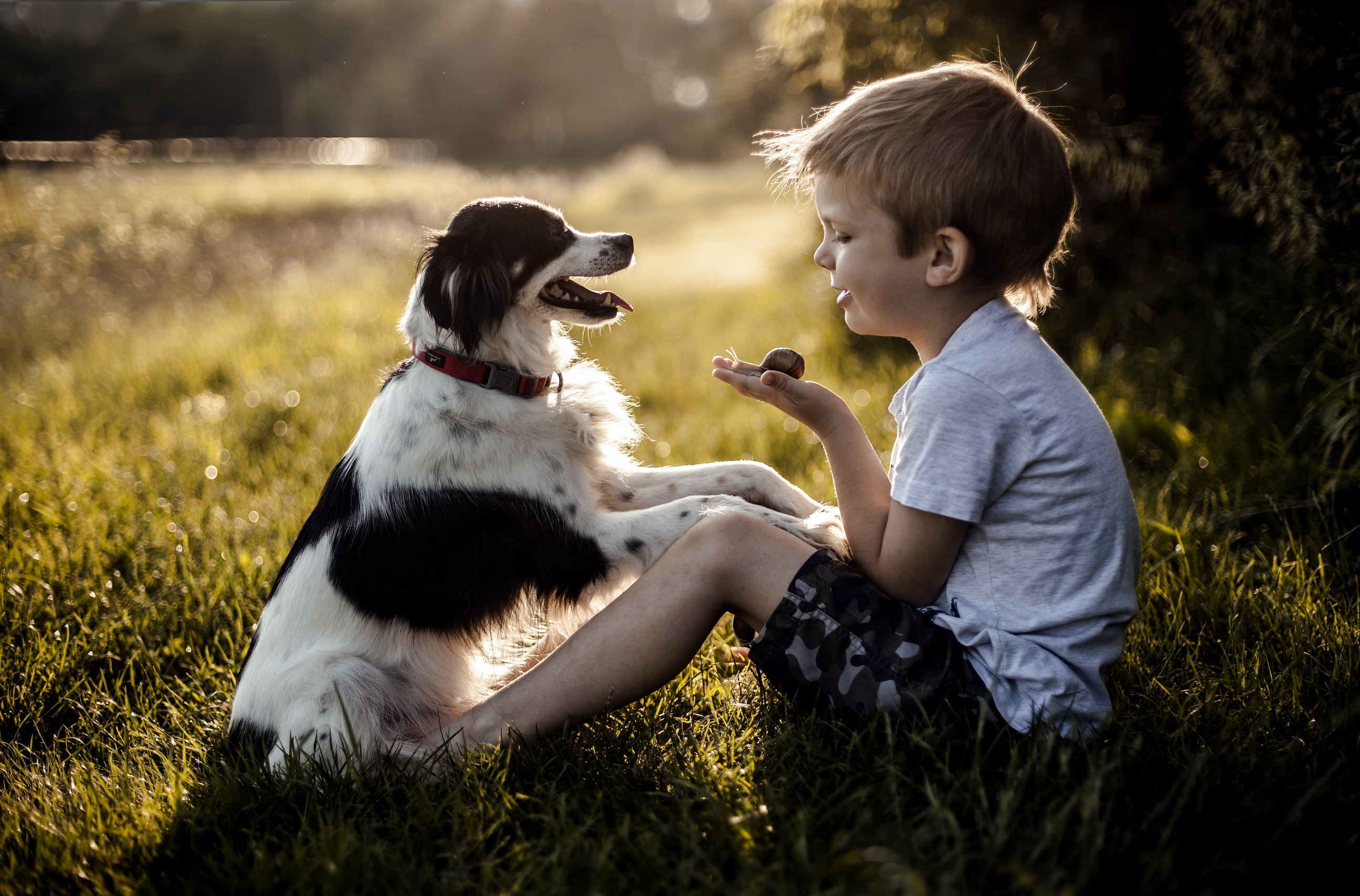 Мальчик играющий с собакой