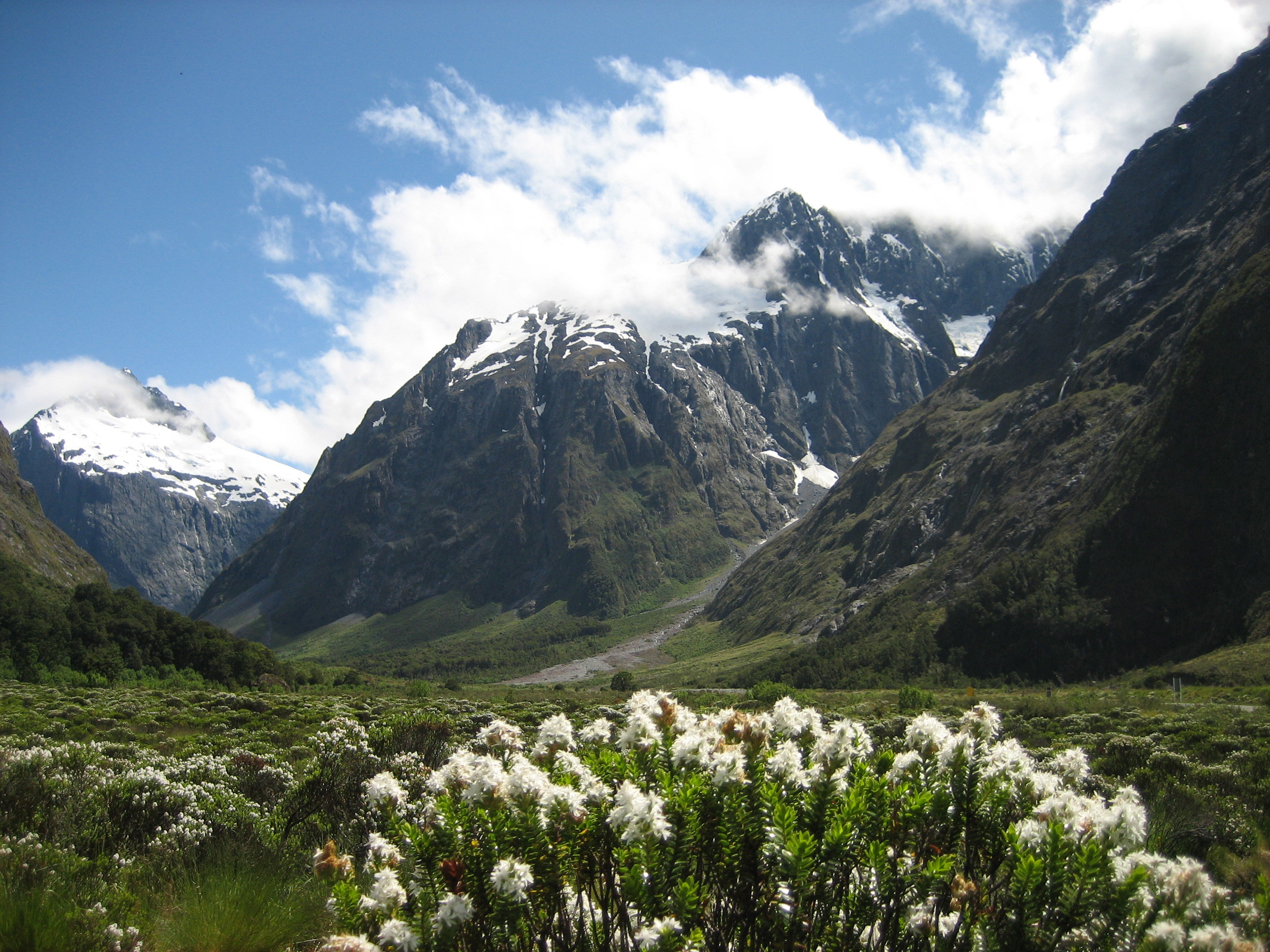 Fiordland National Park New Zealand обои