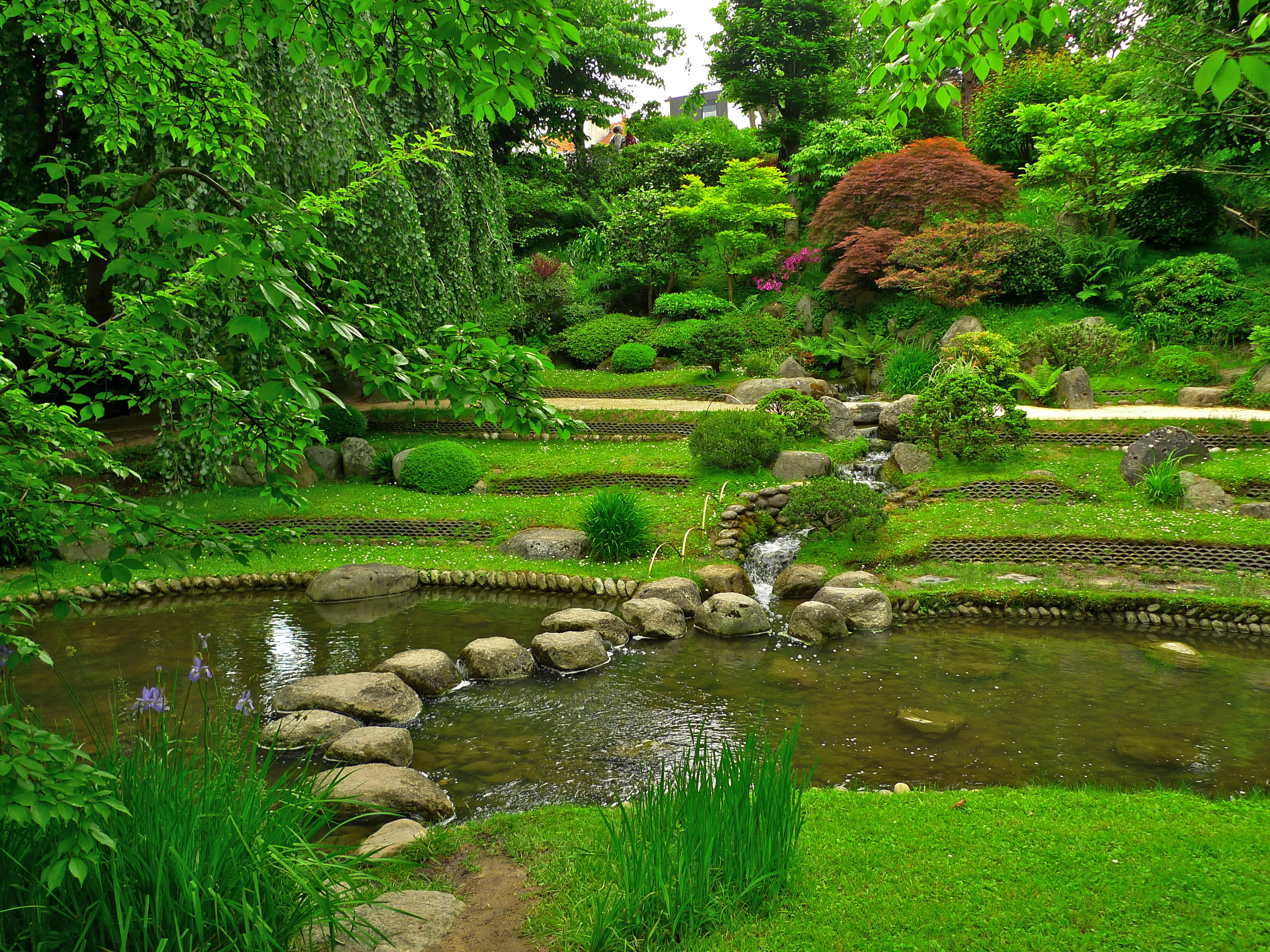 Японский пруд. Сад Альбера Кана (Париж, Франция) японский сад.. Ландшафтный пейзажный сад Японии. Парк Умэкодзи в Киото.