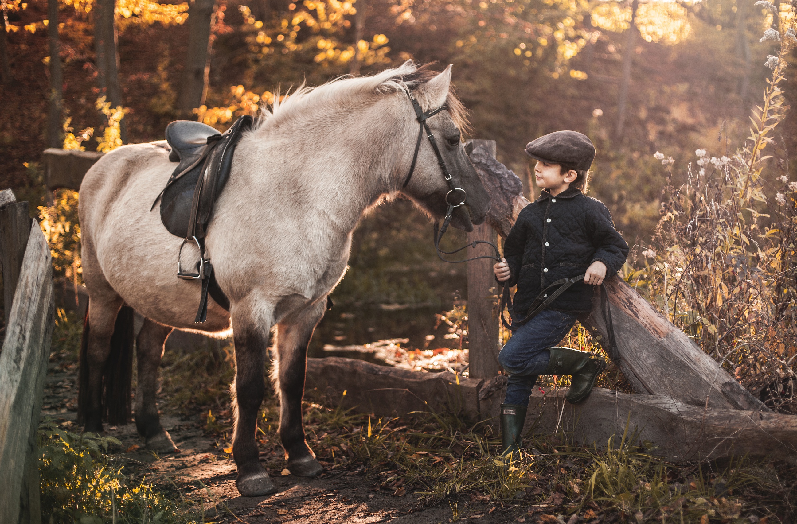 Мужик привел в квартиру лошадь. Мальчик на лошади. Фотосессия с лошадьми. Мальчик и конь. Мальчик на коне.