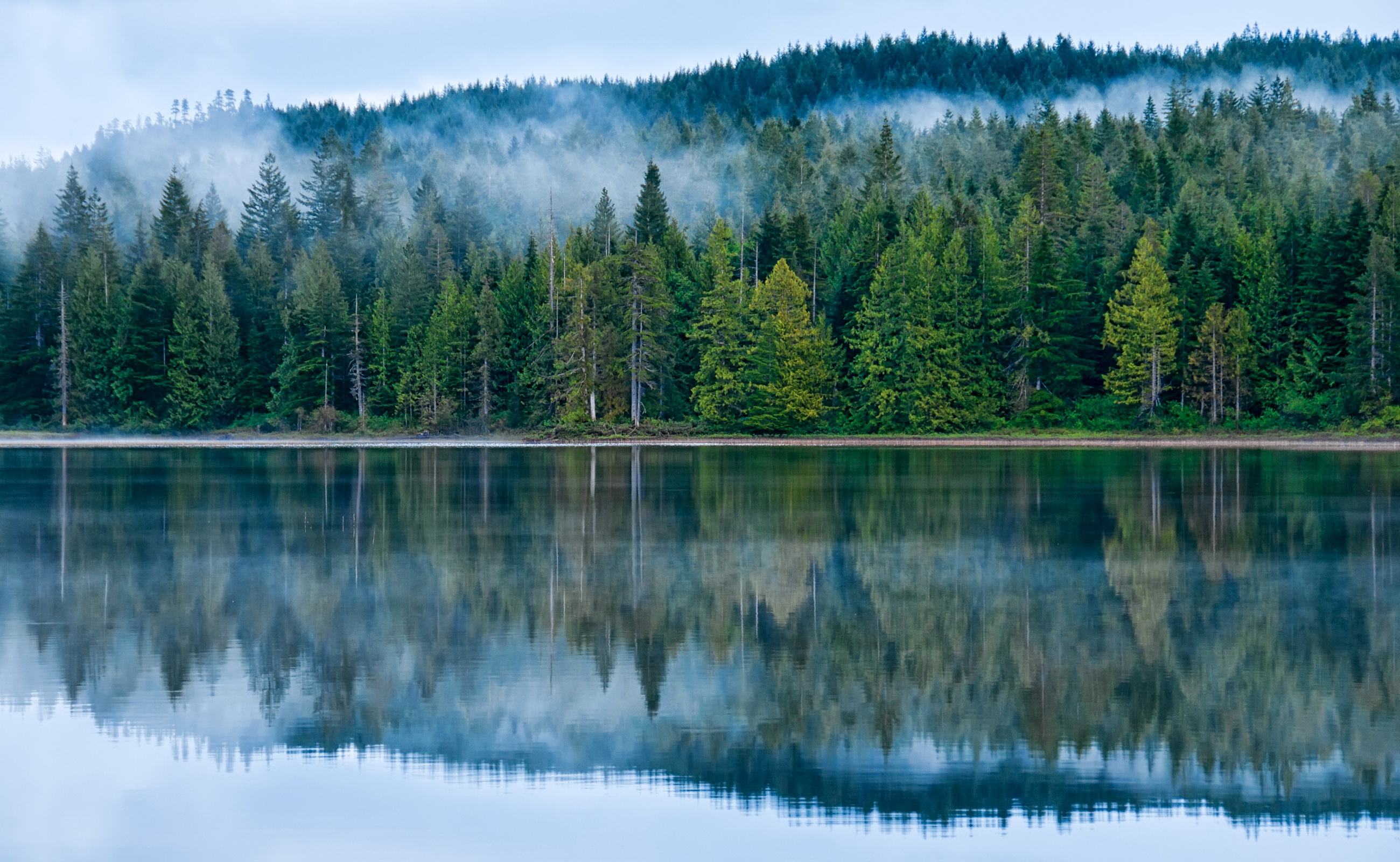 Хвойное озеро. Озеро Северная Тайга. Оленье озеро Канада. Лесное озеро (Forest Lake). Озеро чейбеккёль.