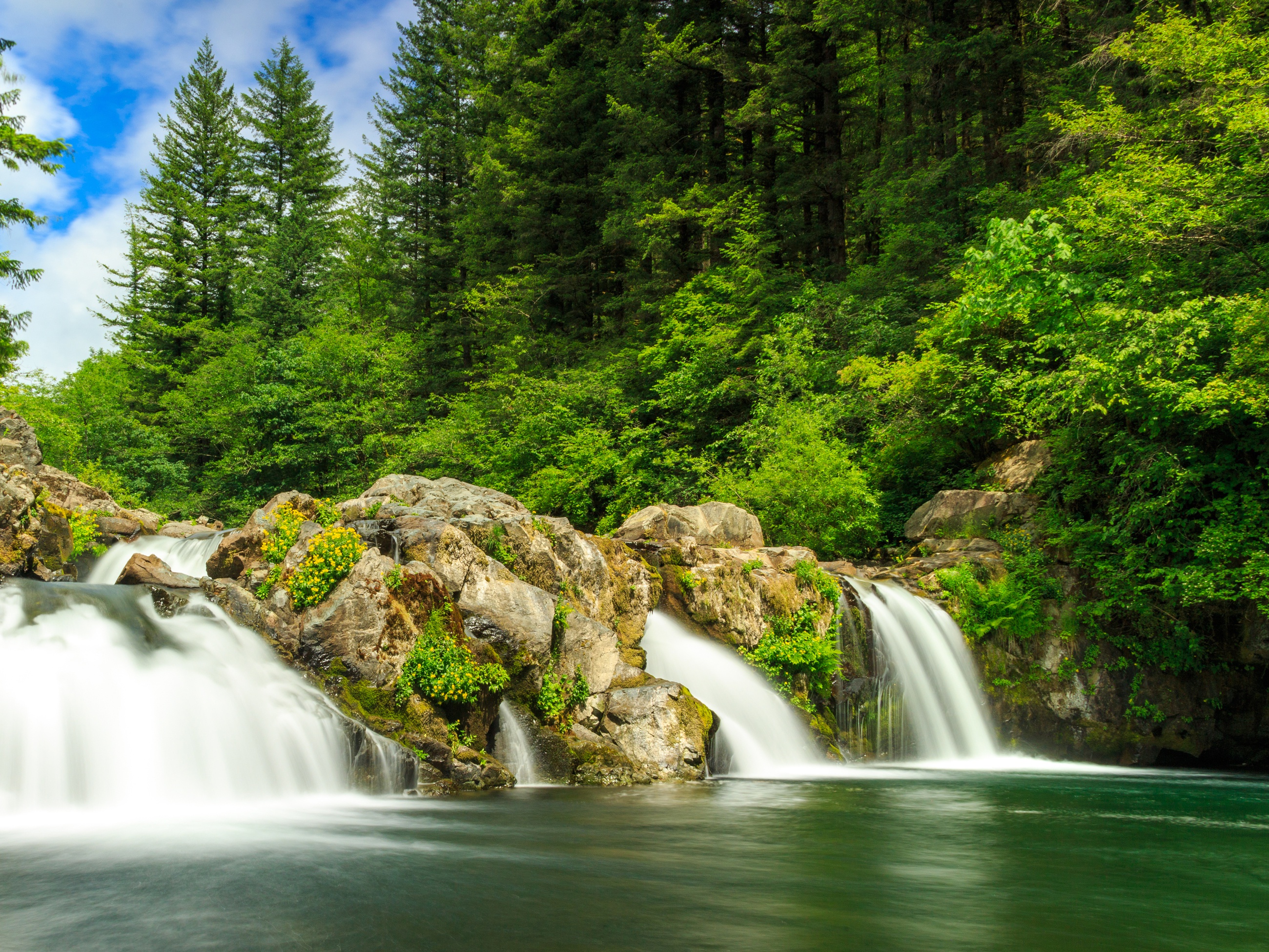 Видео на телефон природа. Водопад Мосбрей, США. Природа водопад. Красивые водопады. Лесной водопад.