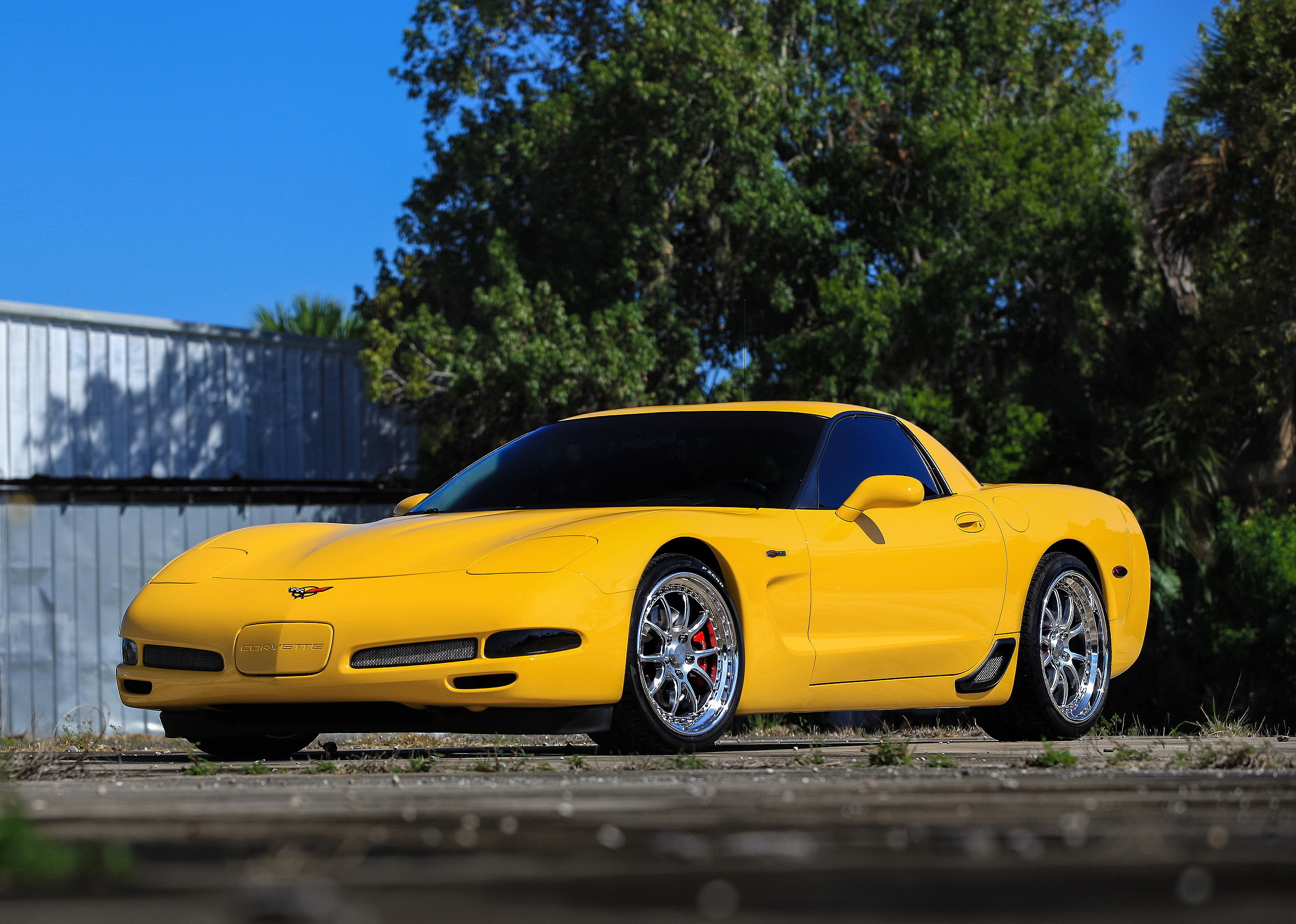 Корвет с5. Шевроле Корвет с5. Chevrolet Corvette c4. Chevrolet Corvette 5 поколение. Chevrolet Corvette c4 z06.