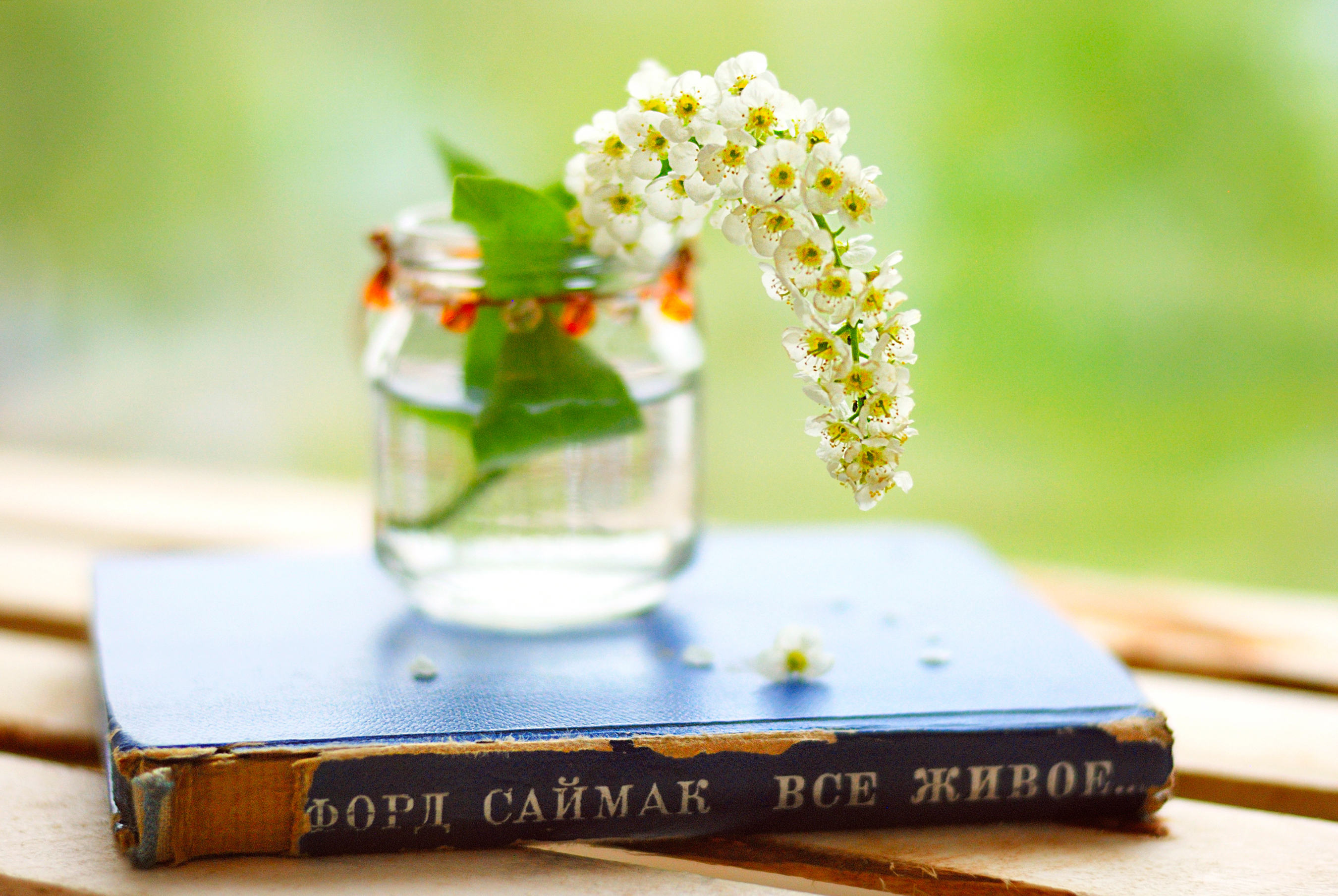 Что почитать весной. Книги о весне. Книга цветы. Обои на рабочий стол книги. Книги на фоне цветов.