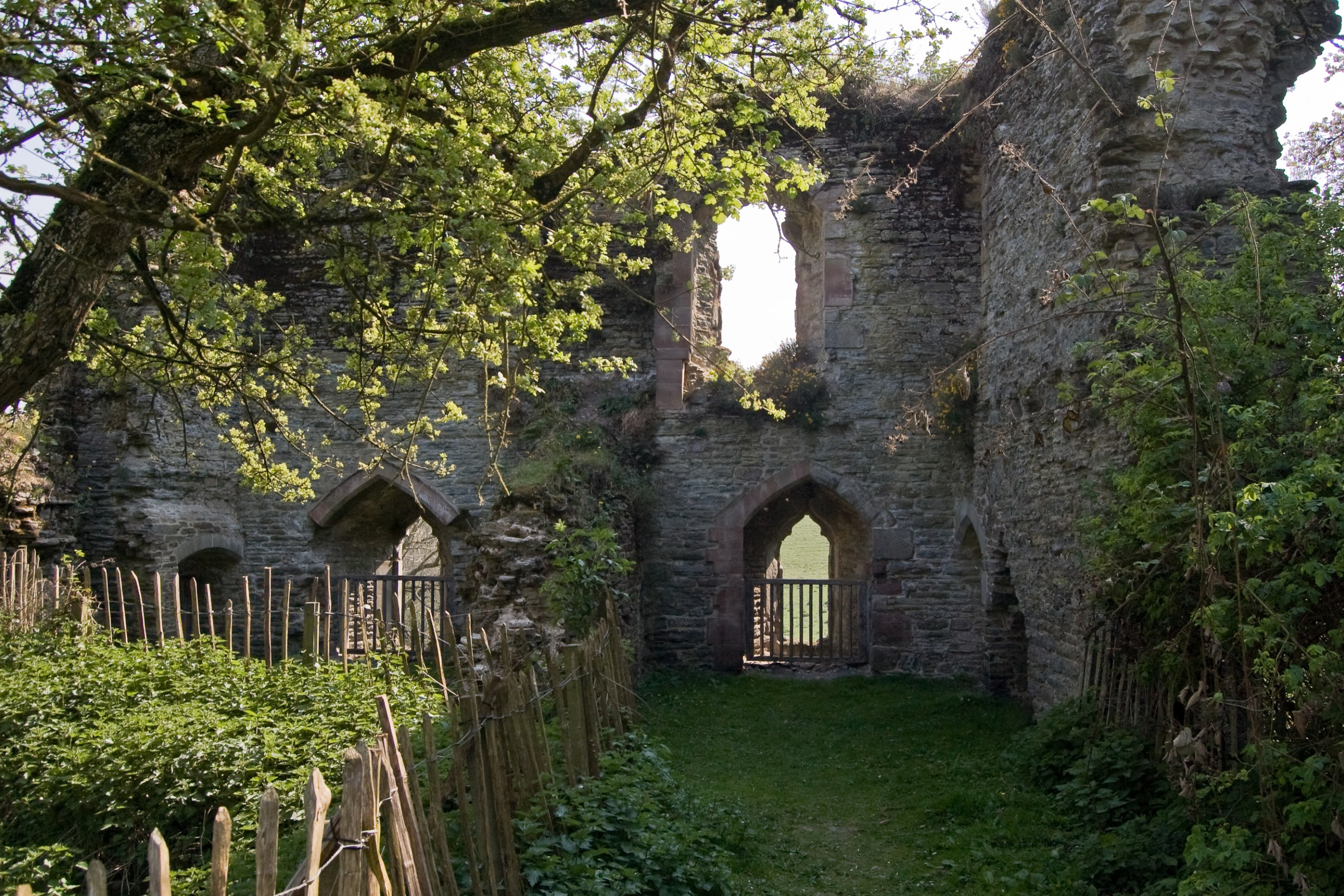 деревья, забор, Англия, руины, England, средневековая архитектура, Wigmore Castle, графство Херефордшир